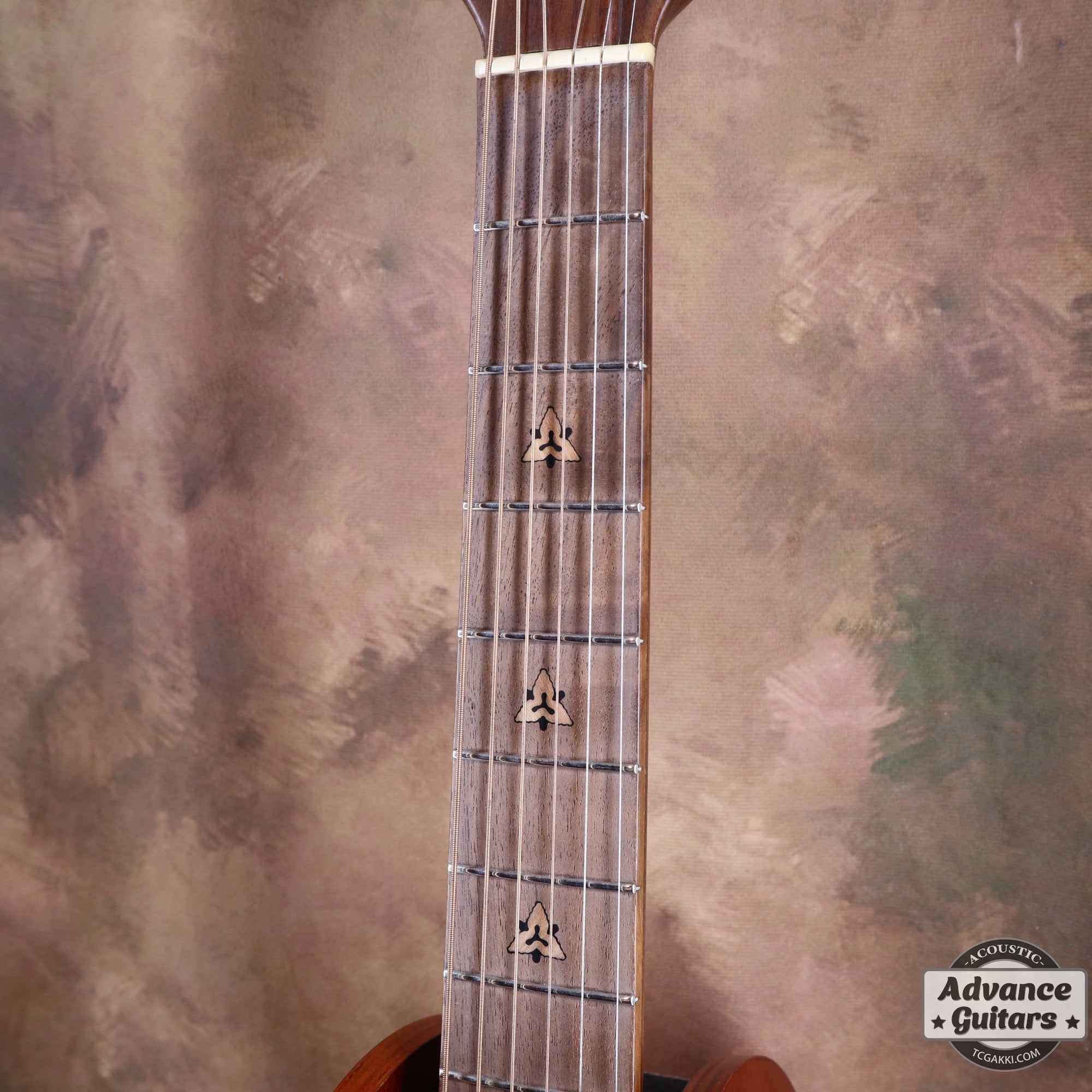 1979年製 Super Adamas 1687 - 9 - TC楽器 - TCGAKKI