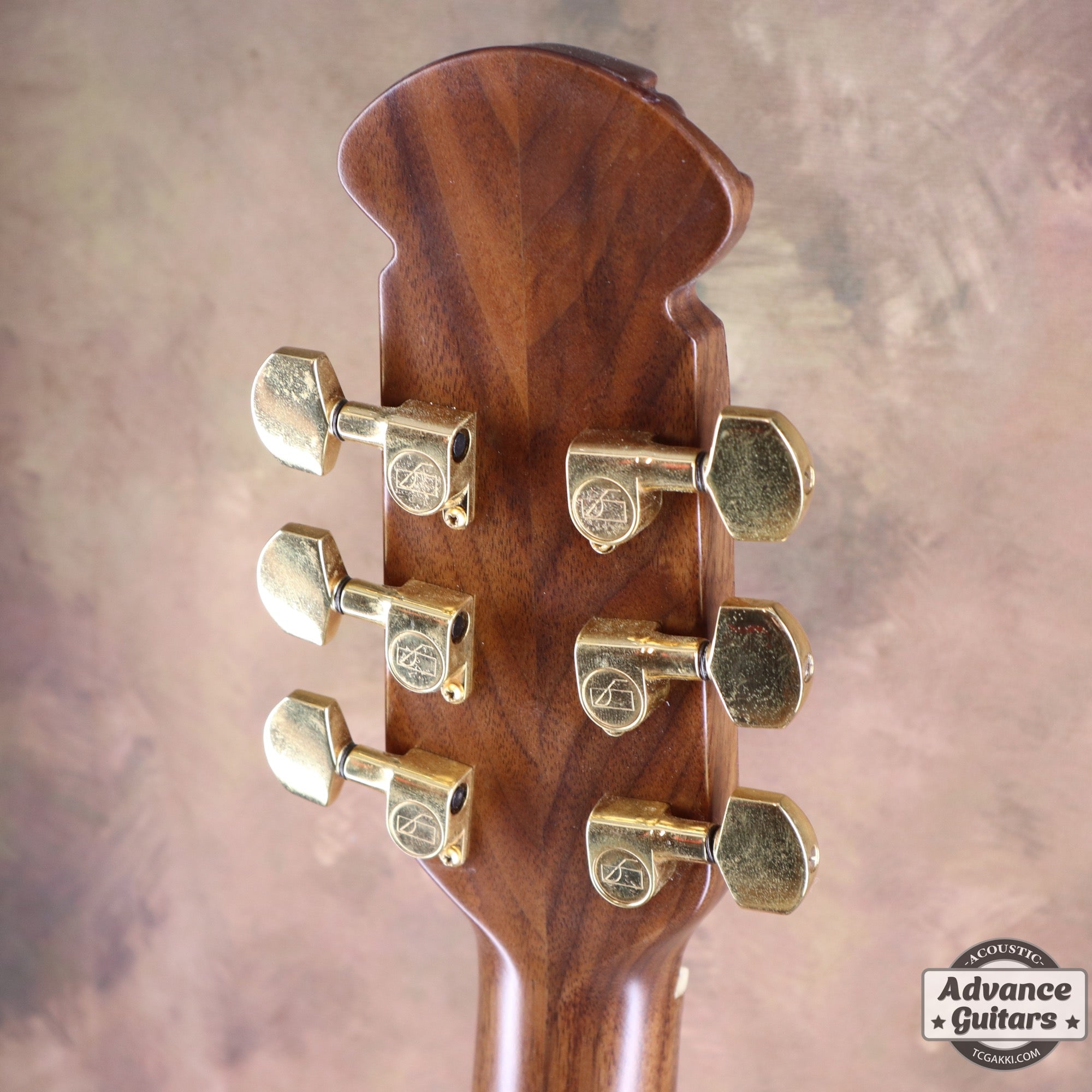 1979年製 Super Adamas 1687 - 9 - TC楽器 - TCGAKKI