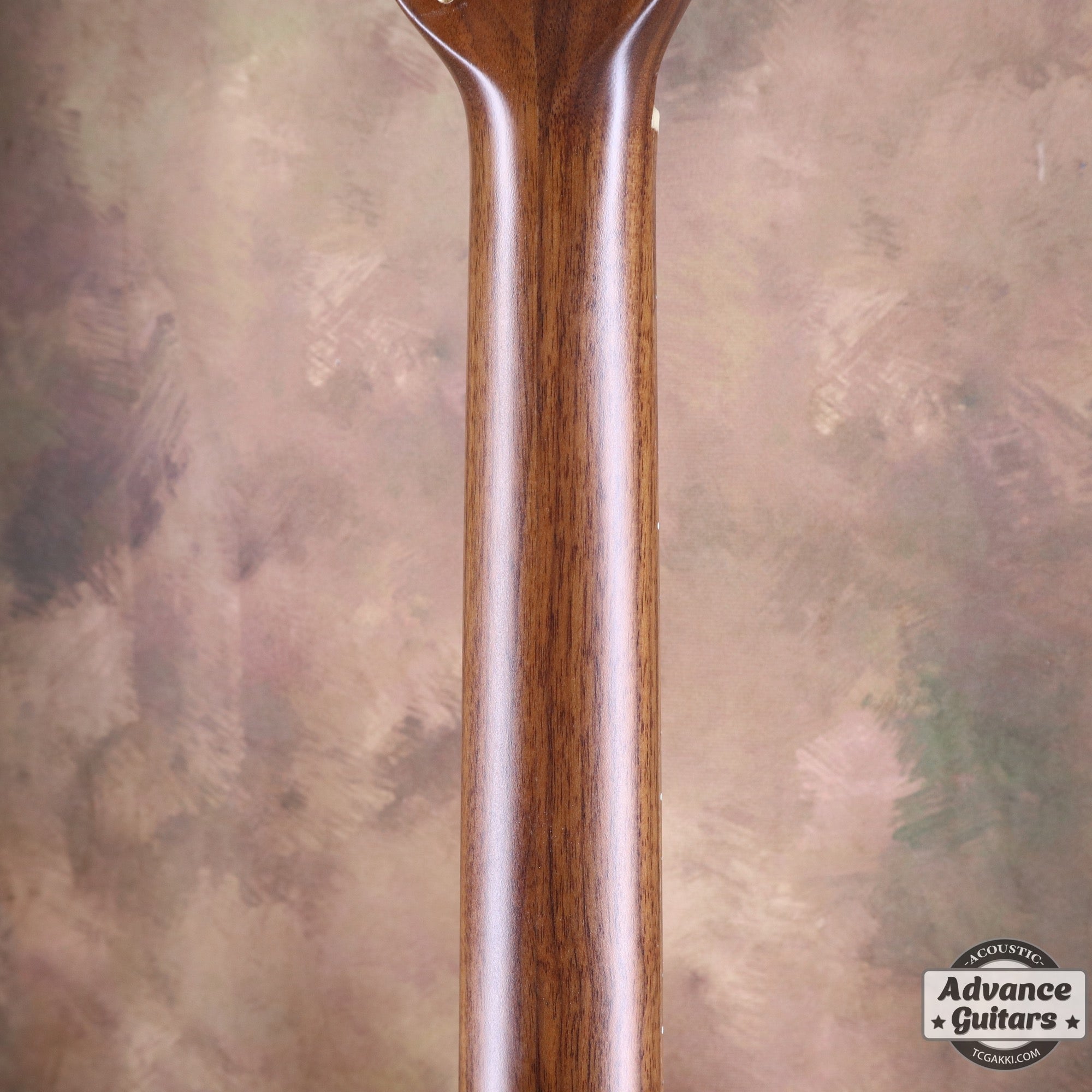 1979年製 Super Adamas 1687 - 9 - TC楽器 - TCGAKKI