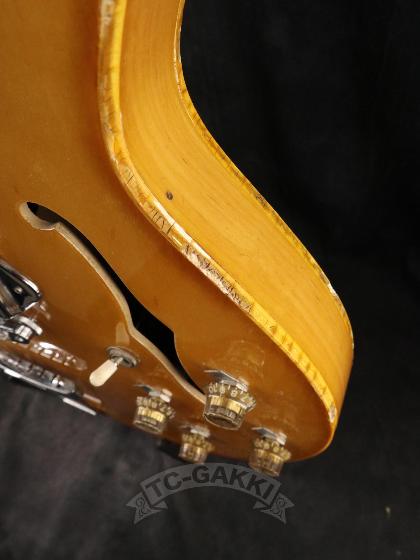 1980 Casino - TC楽器 - TCGAKKI