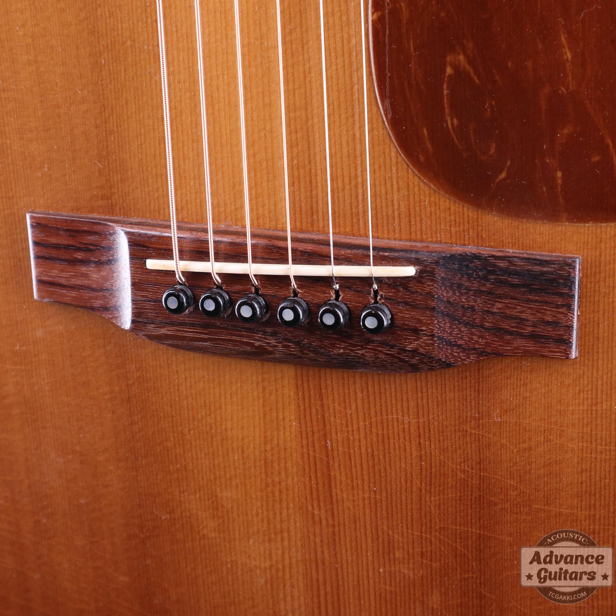 レア　不思議な日本製　８０年代　Terada　エレアコ　Washburn? 1980年製 D-25K