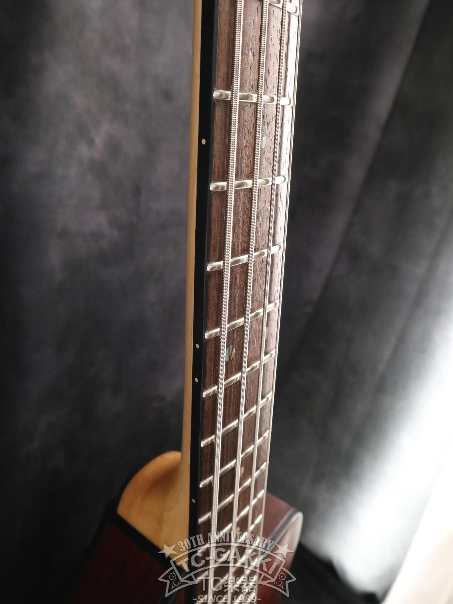 1980 Model 1 Bass - TC楽器 - TCGAKKI