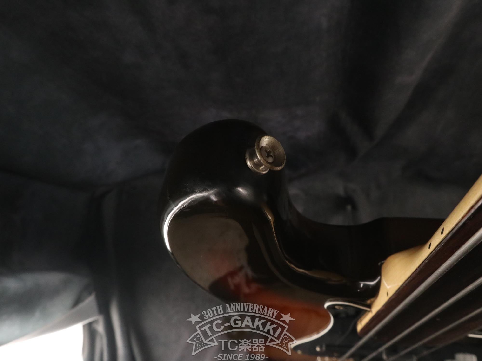 1980 Precision Bass Fretless - TC楽器 - TCGAKKI