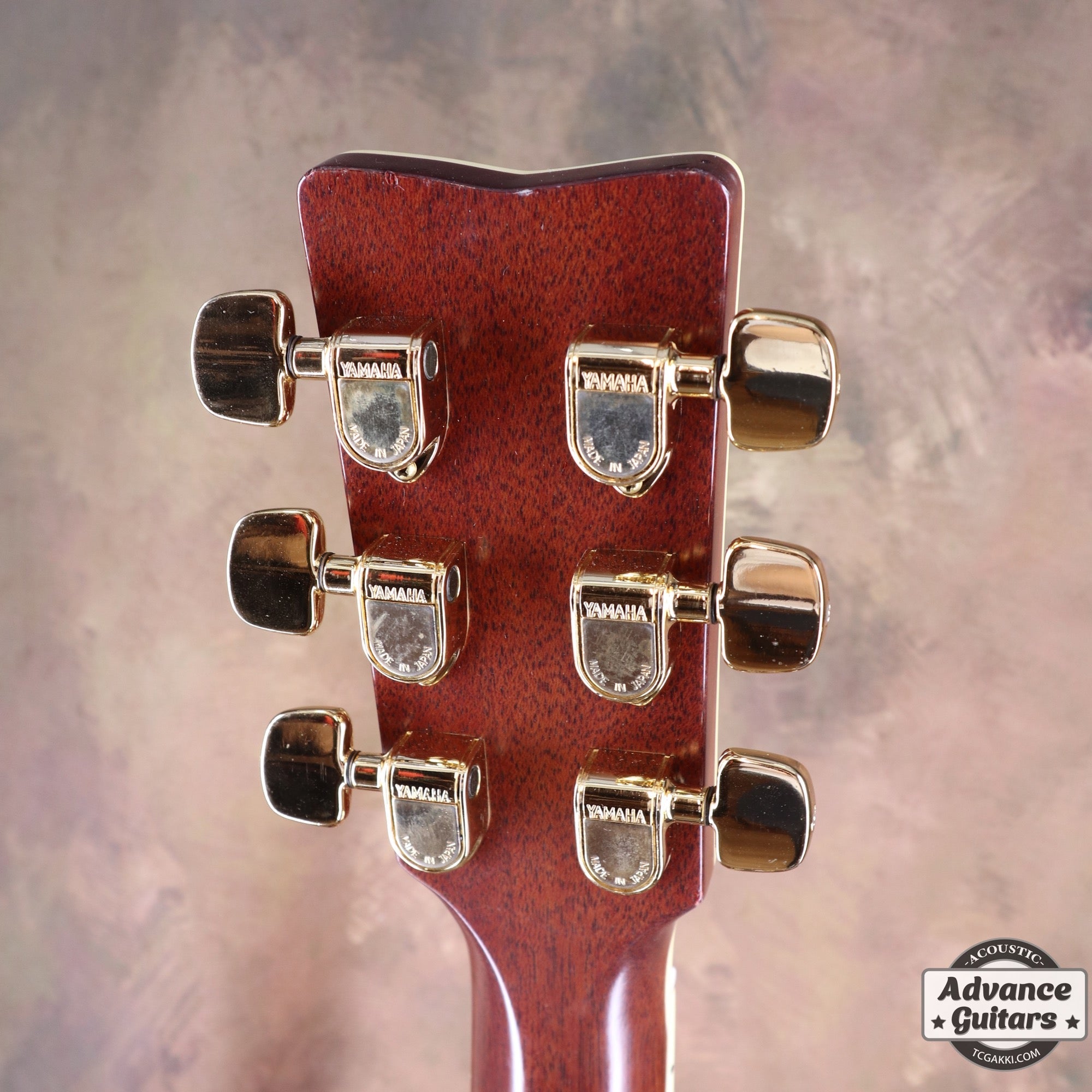 1981年製 L - 55 Custom - TC楽器 - TCGAKKI