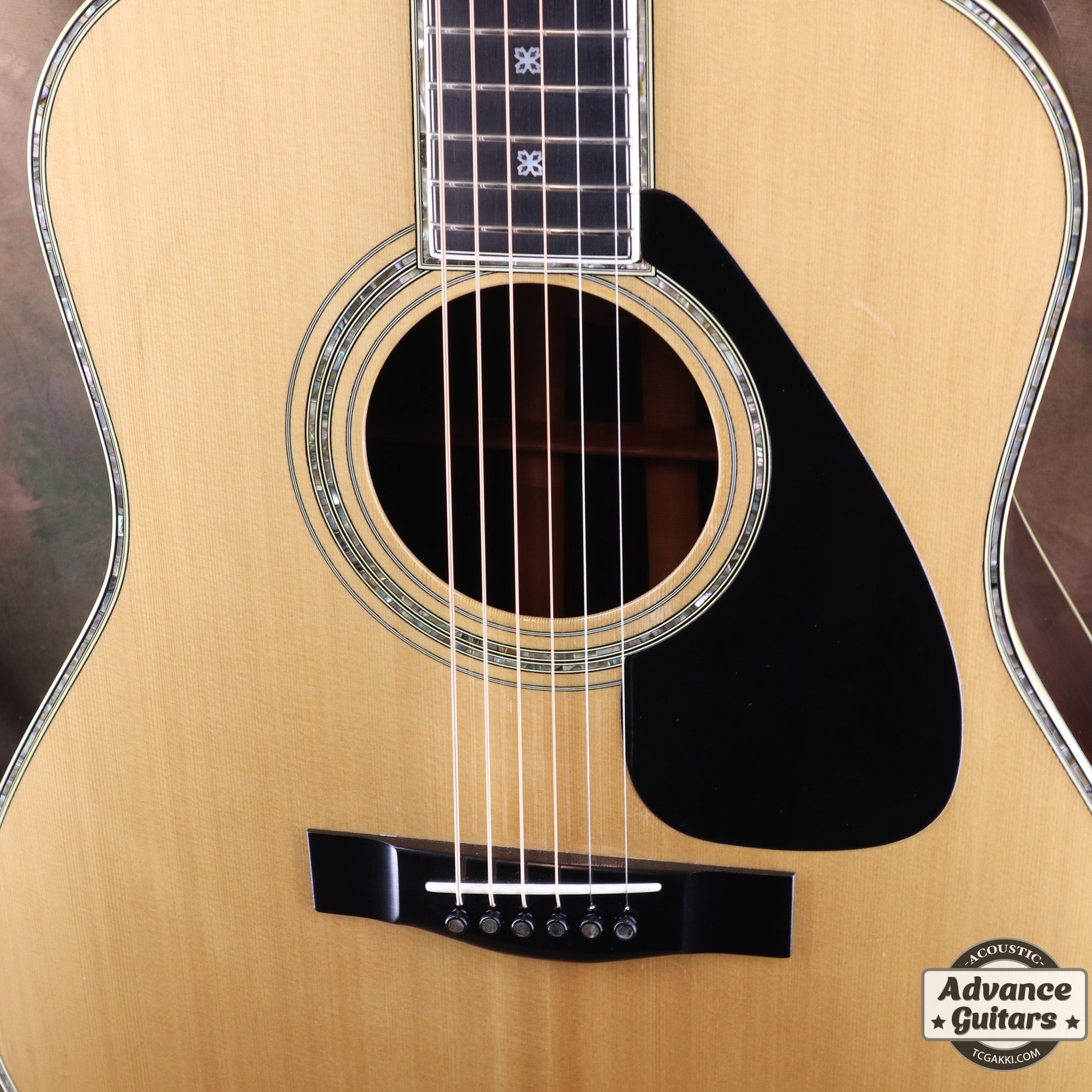 1981年製 L - 55 Custom - TC楽器 - TCGAKKI