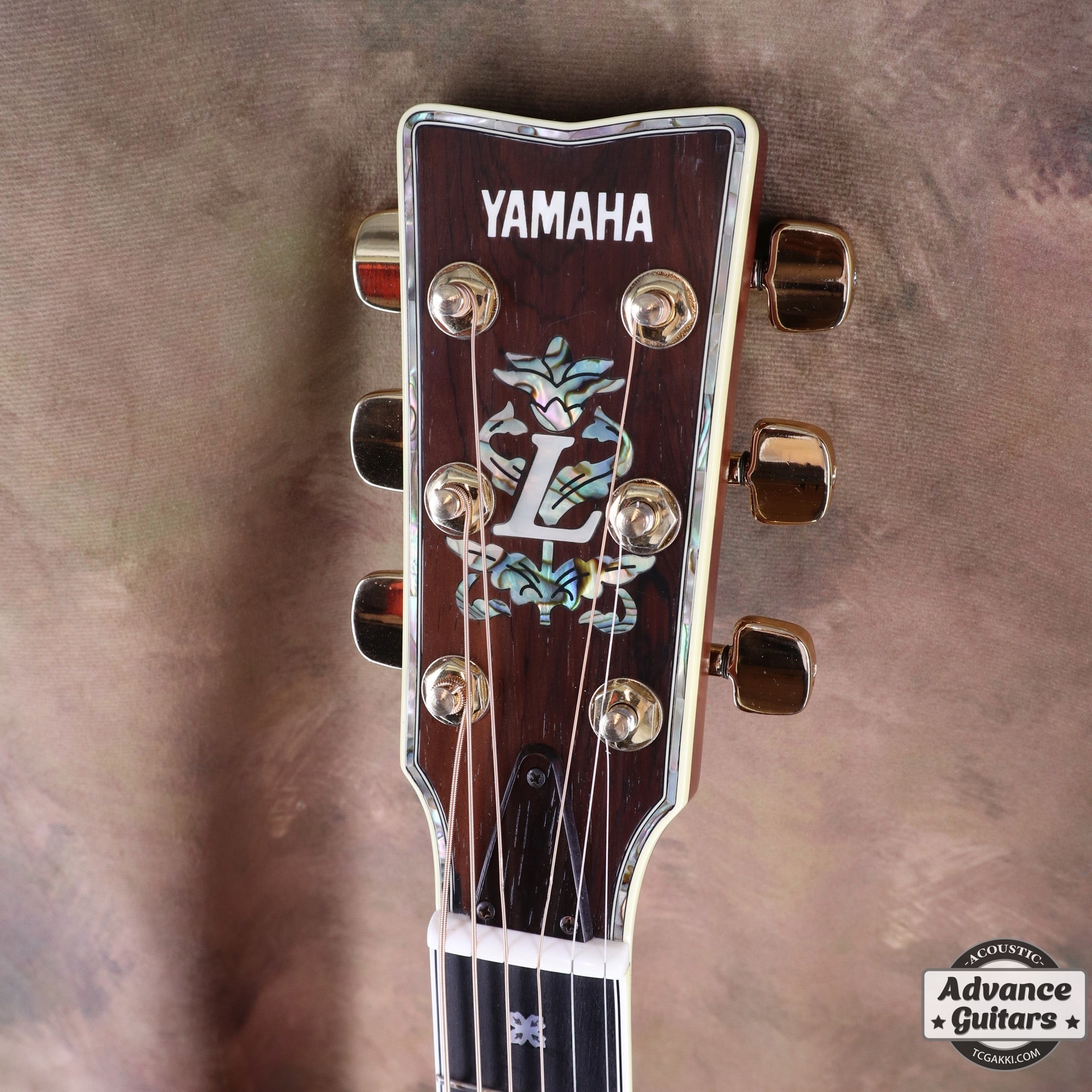 1981年製 L - 55 Custom - TC楽器 - TCGAKKI