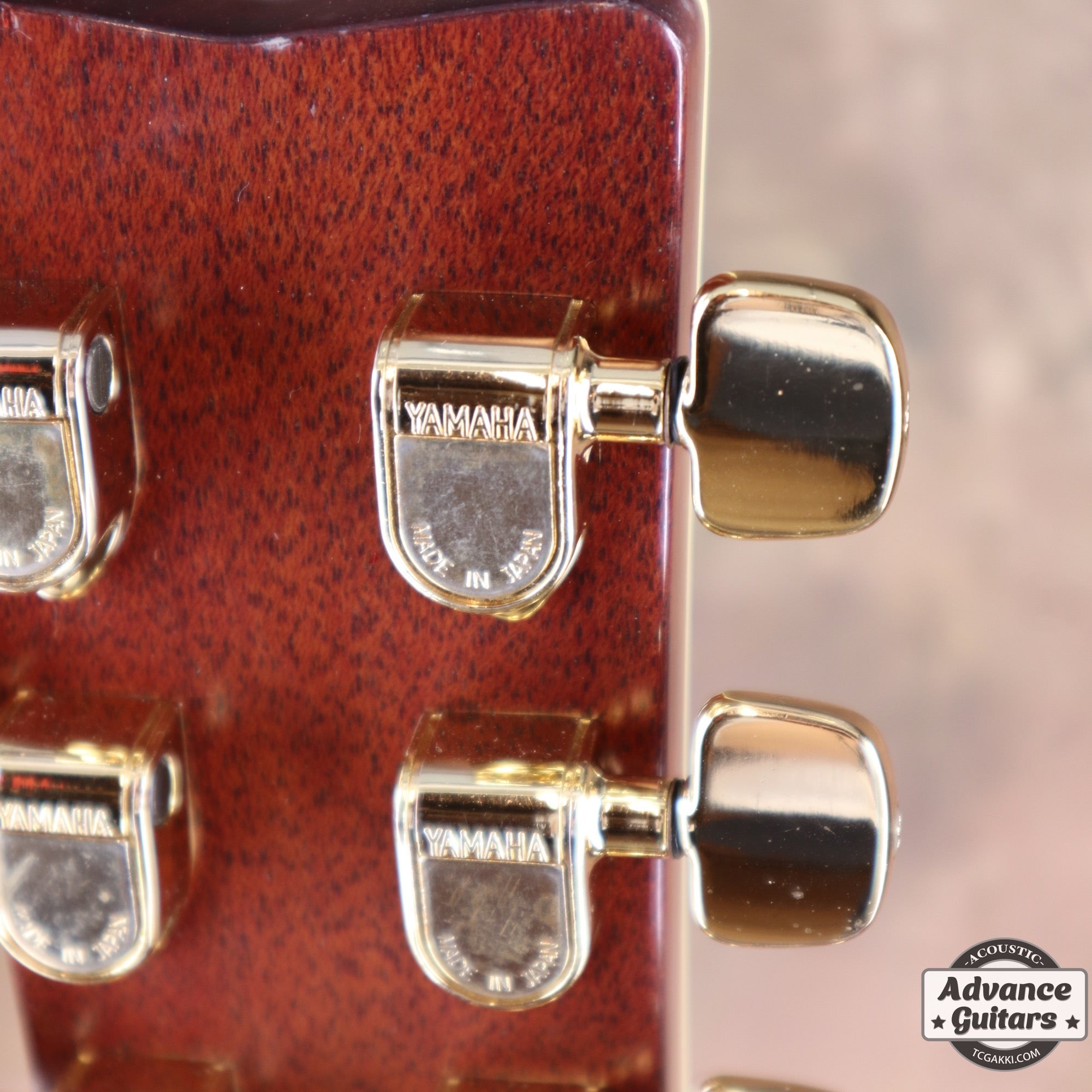 1981年製 L - 55 Custom - TC楽器 - TCGAKKI