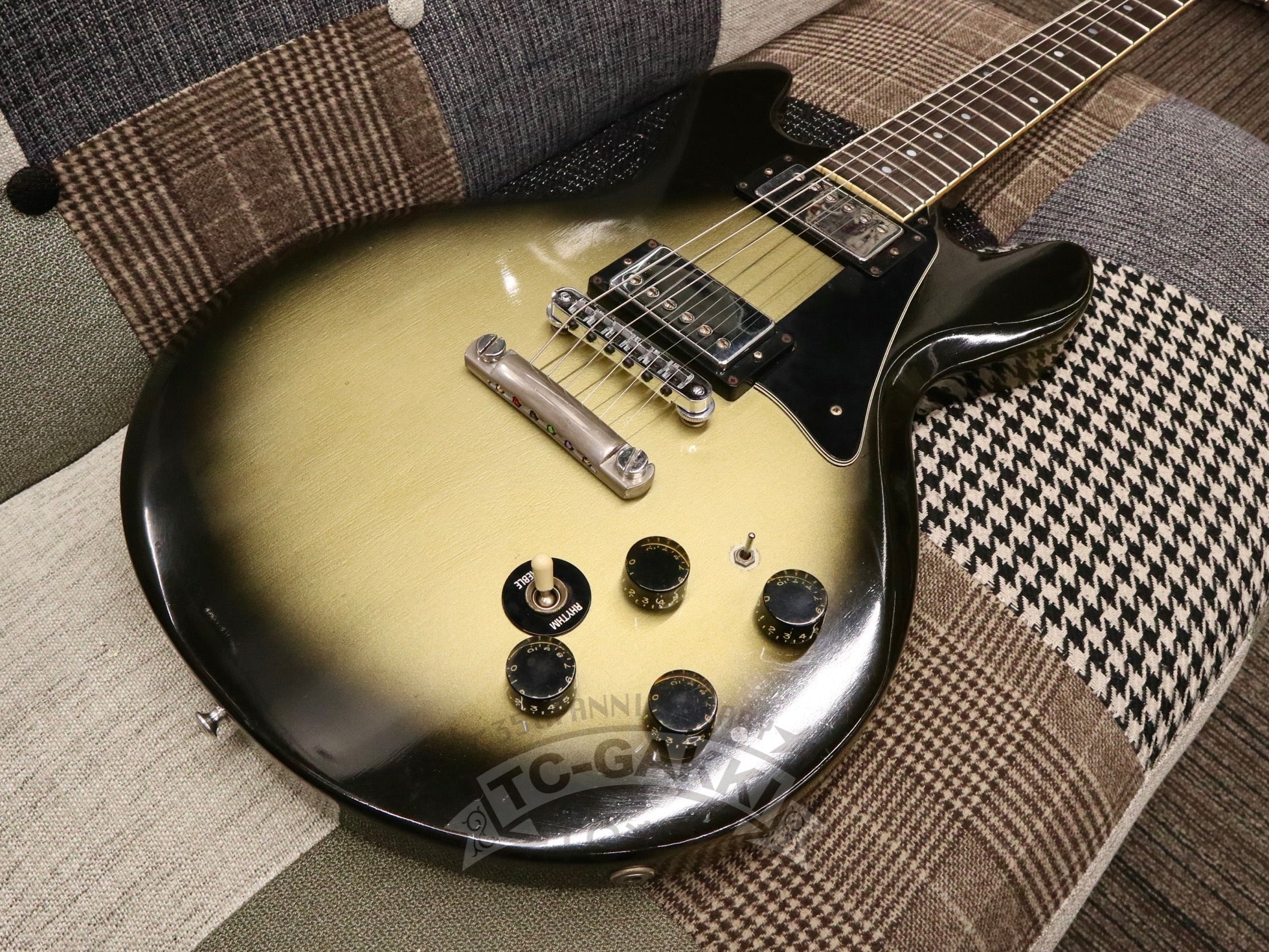 1981 Professional 335 - S Deluxe - TC楽器 - TCGAKKI