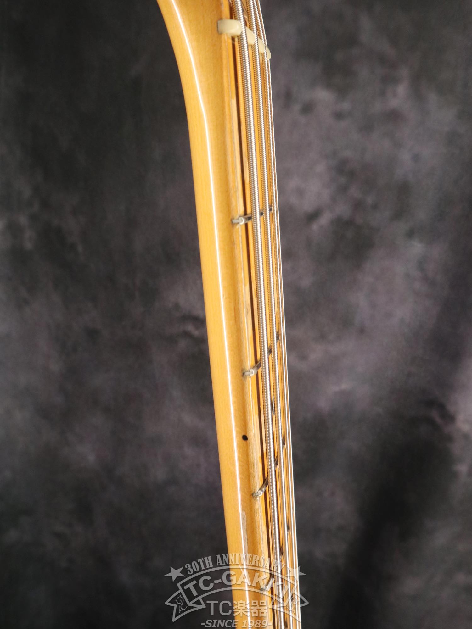 1981 StingRay - TC楽器 - TCGAKKI