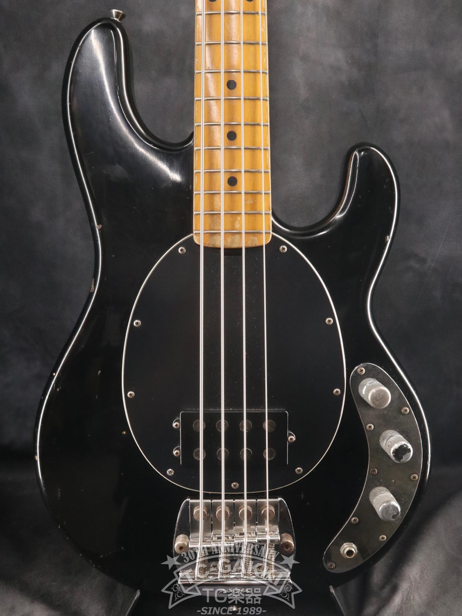 1981 StingRay - TC楽器 - TCGAKKI