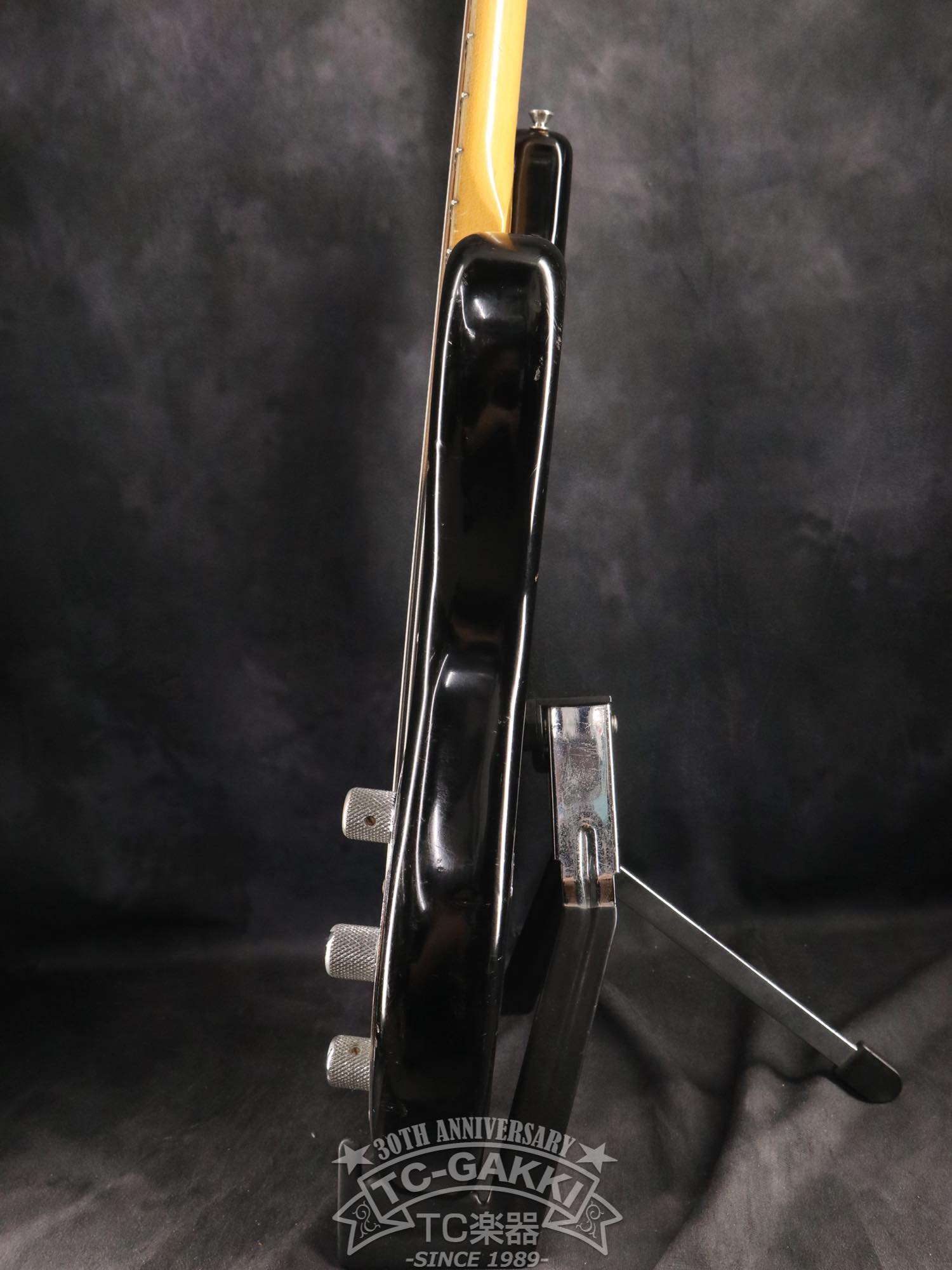 1981 StingRay - TC楽器 - TCGAKKI