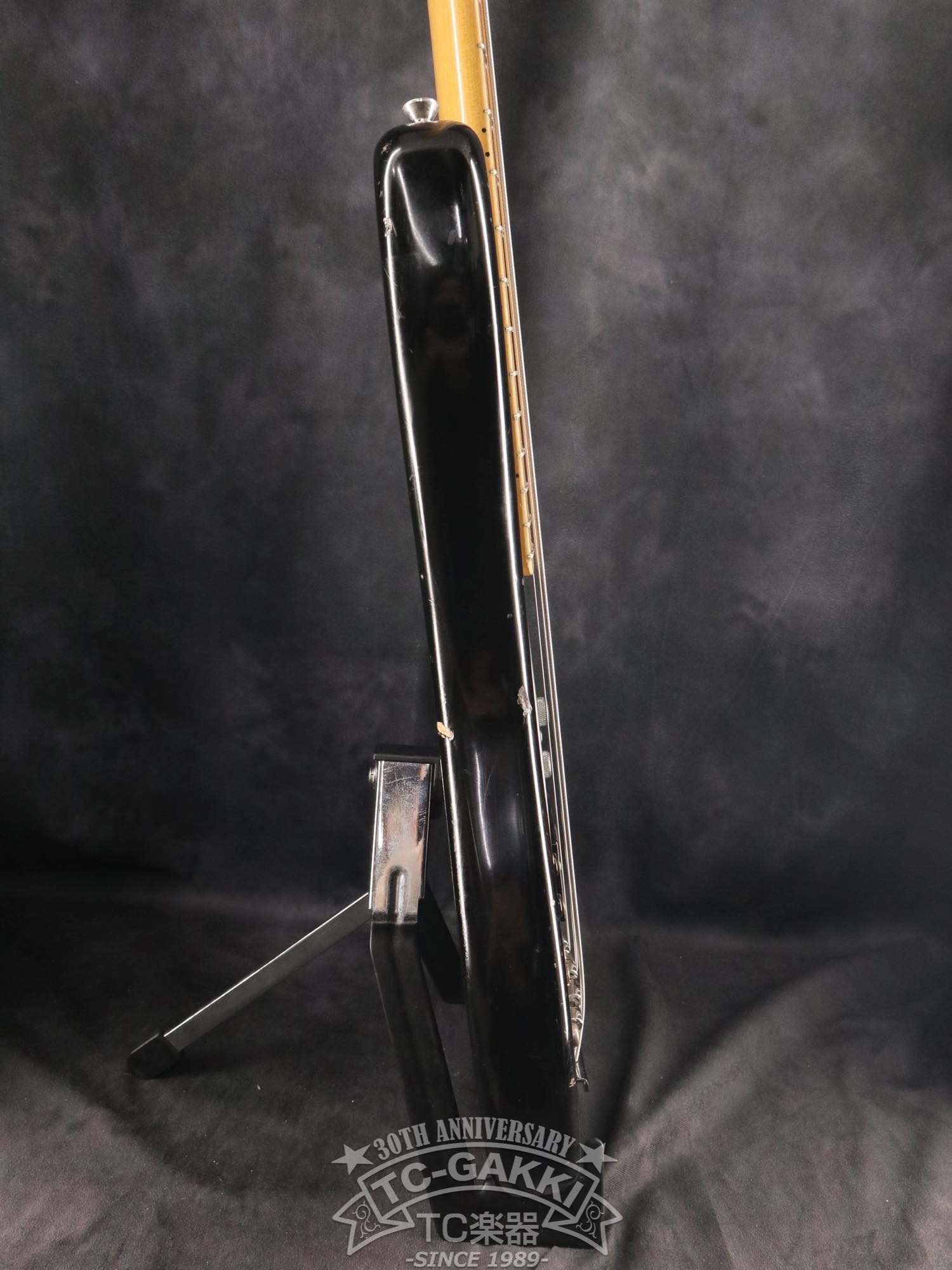 1981 StingRay - TC楽器 - TCGAKKI