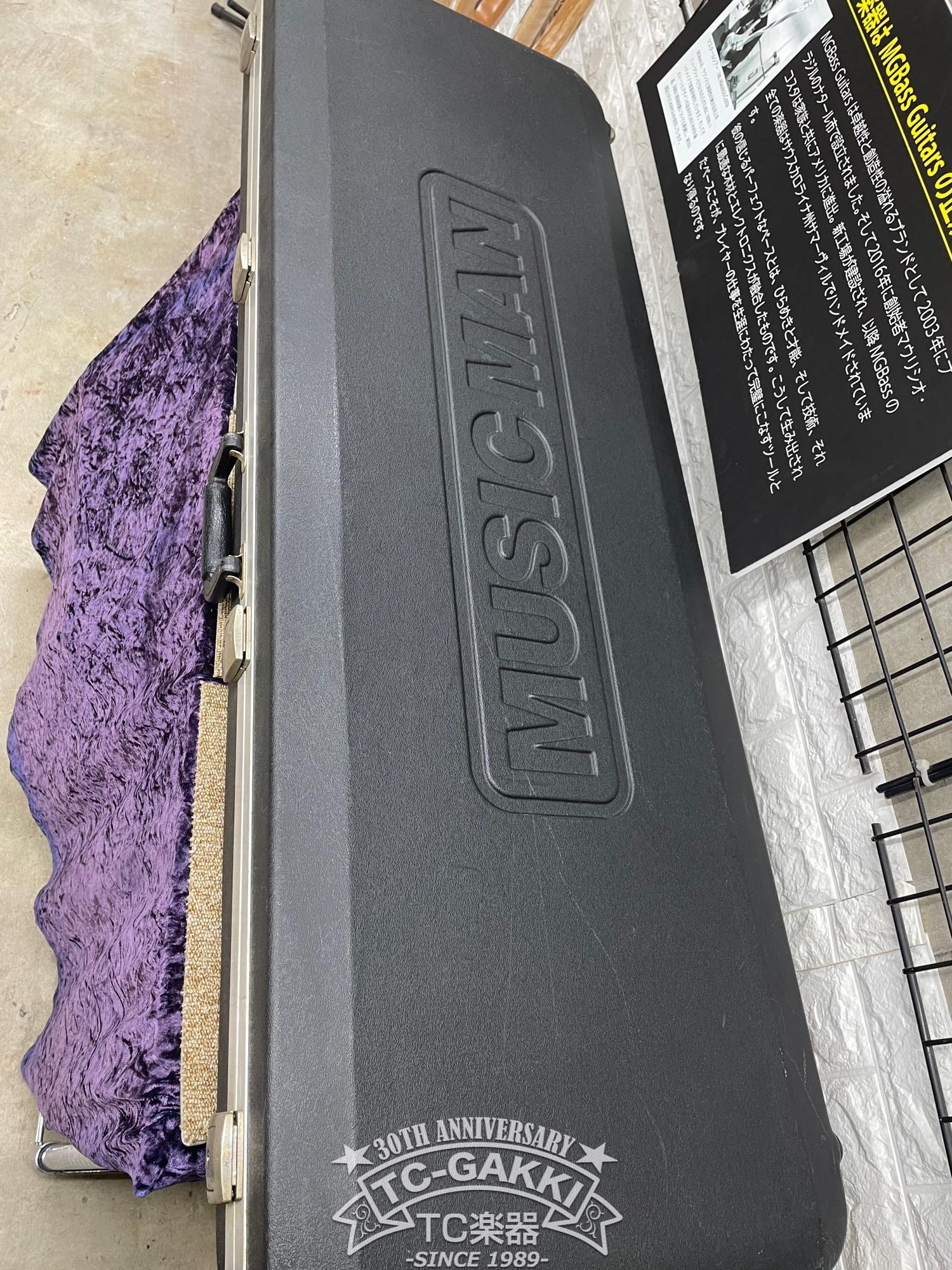 1981 StingRay - TC楽器 - TCGAKKI