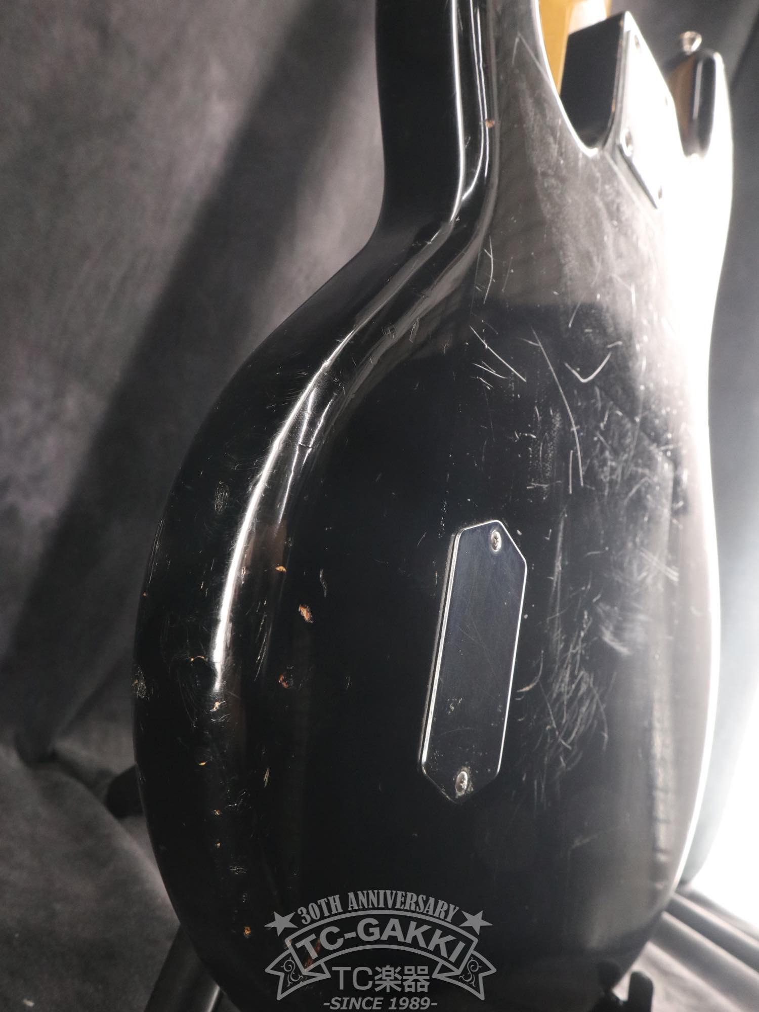 1981 StingRay - TC楽器 - TCGAKKI