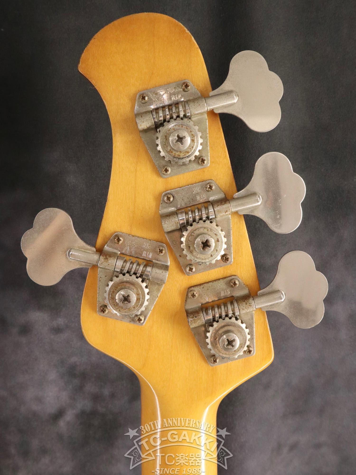 1981 StingRay - TC楽器 - TCGAKKI