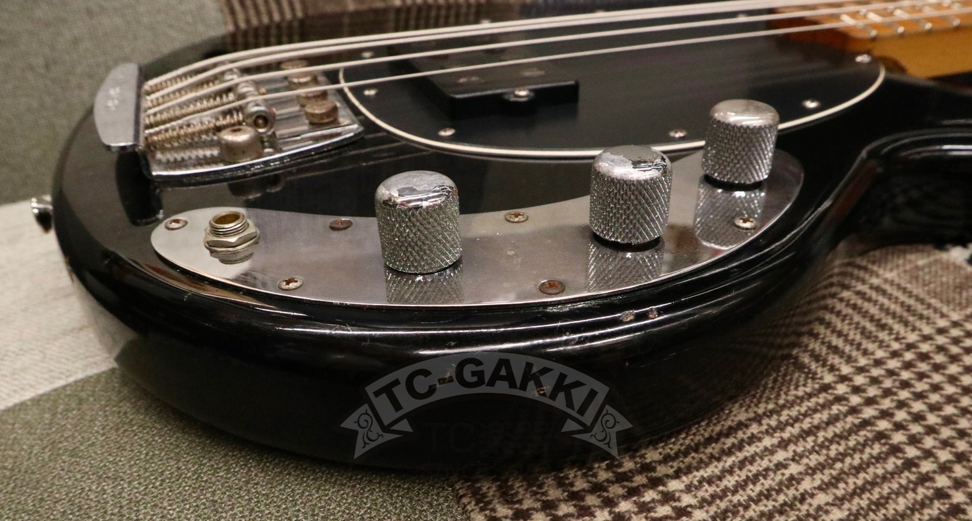 1981 StingRay - TC楽器 - TCGAKKI