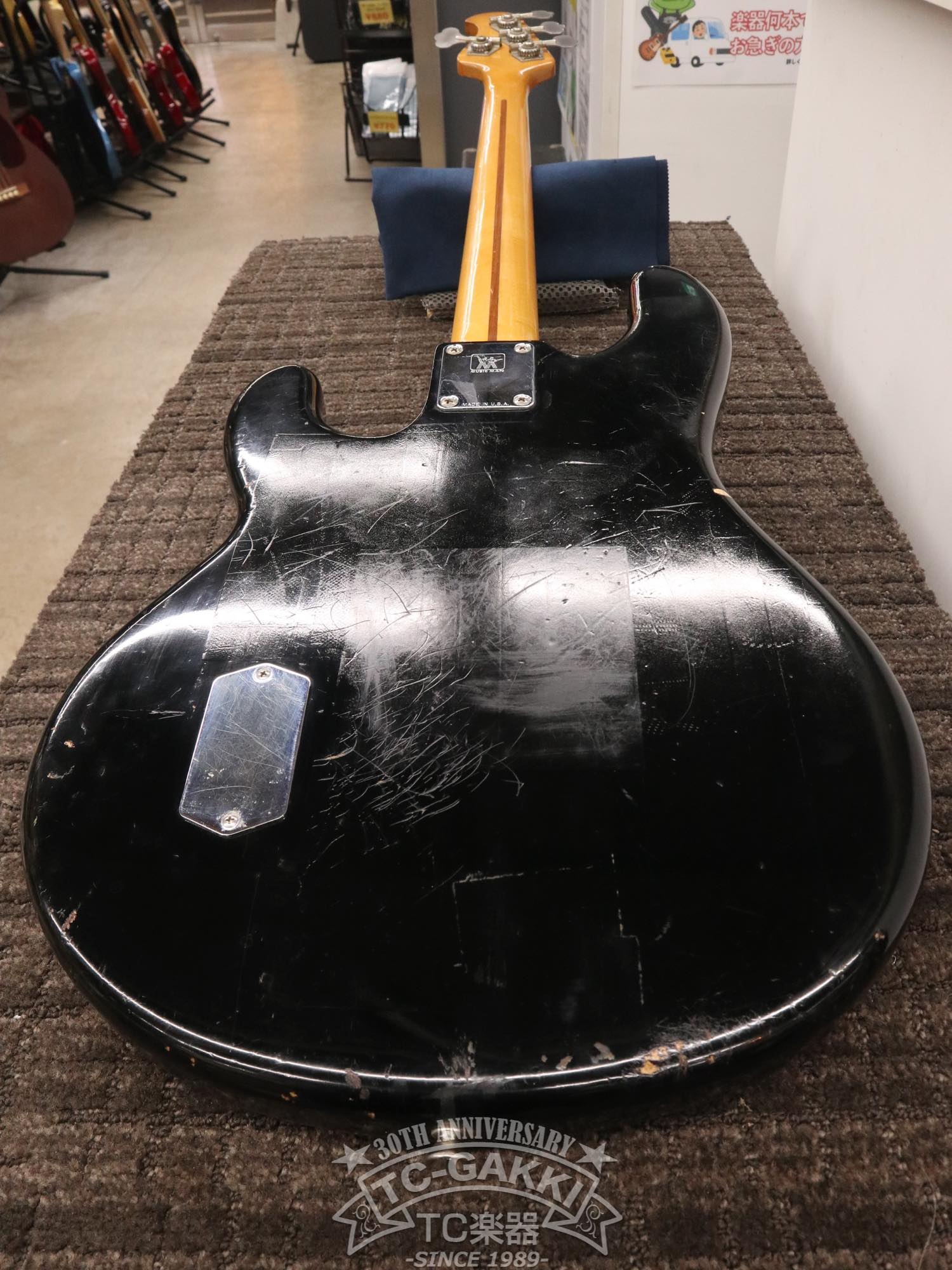 1981 StingRay - TC楽器 - TCGAKKI