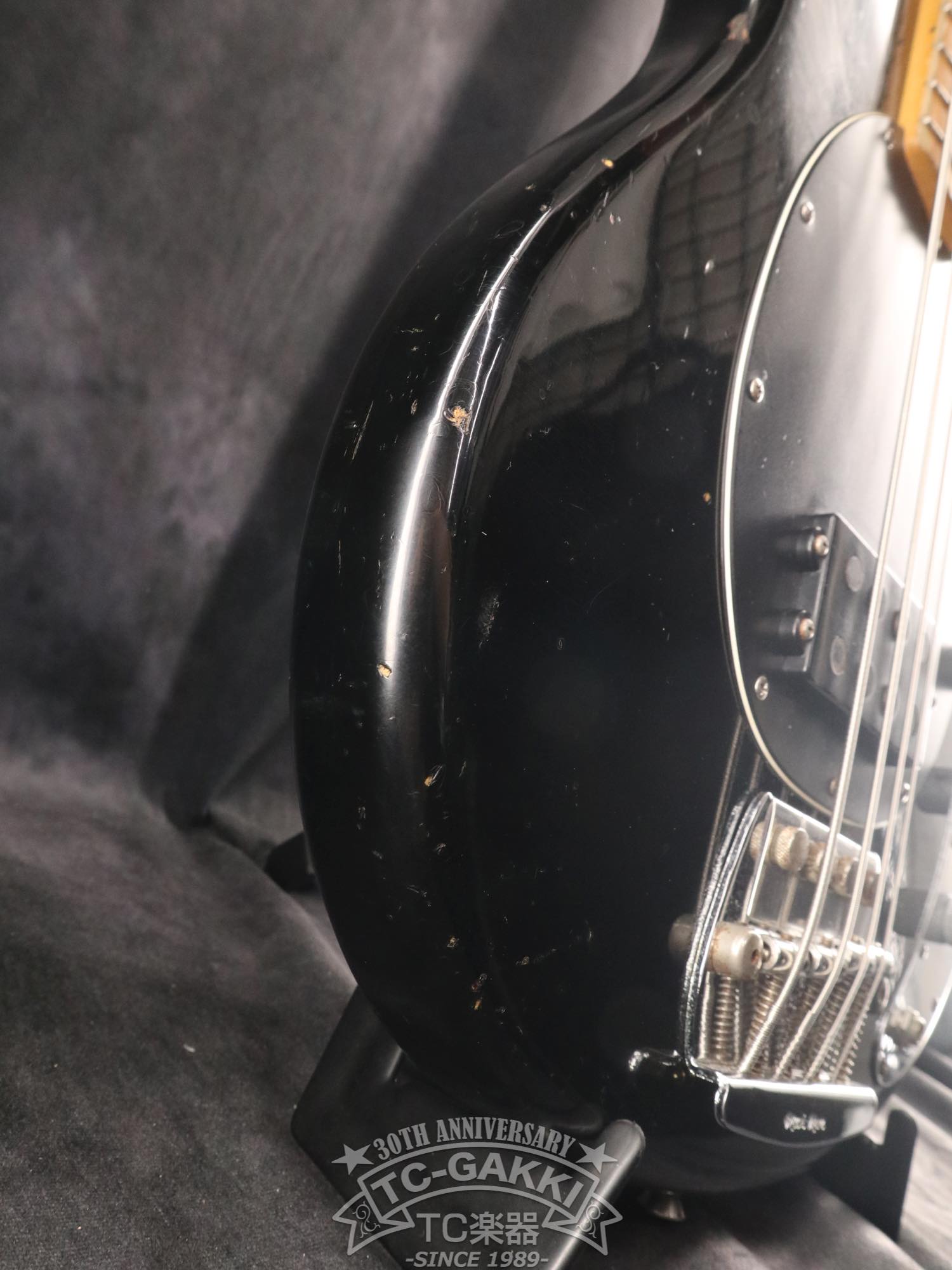 1981 StingRay - TC楽器 - TCGAKKI