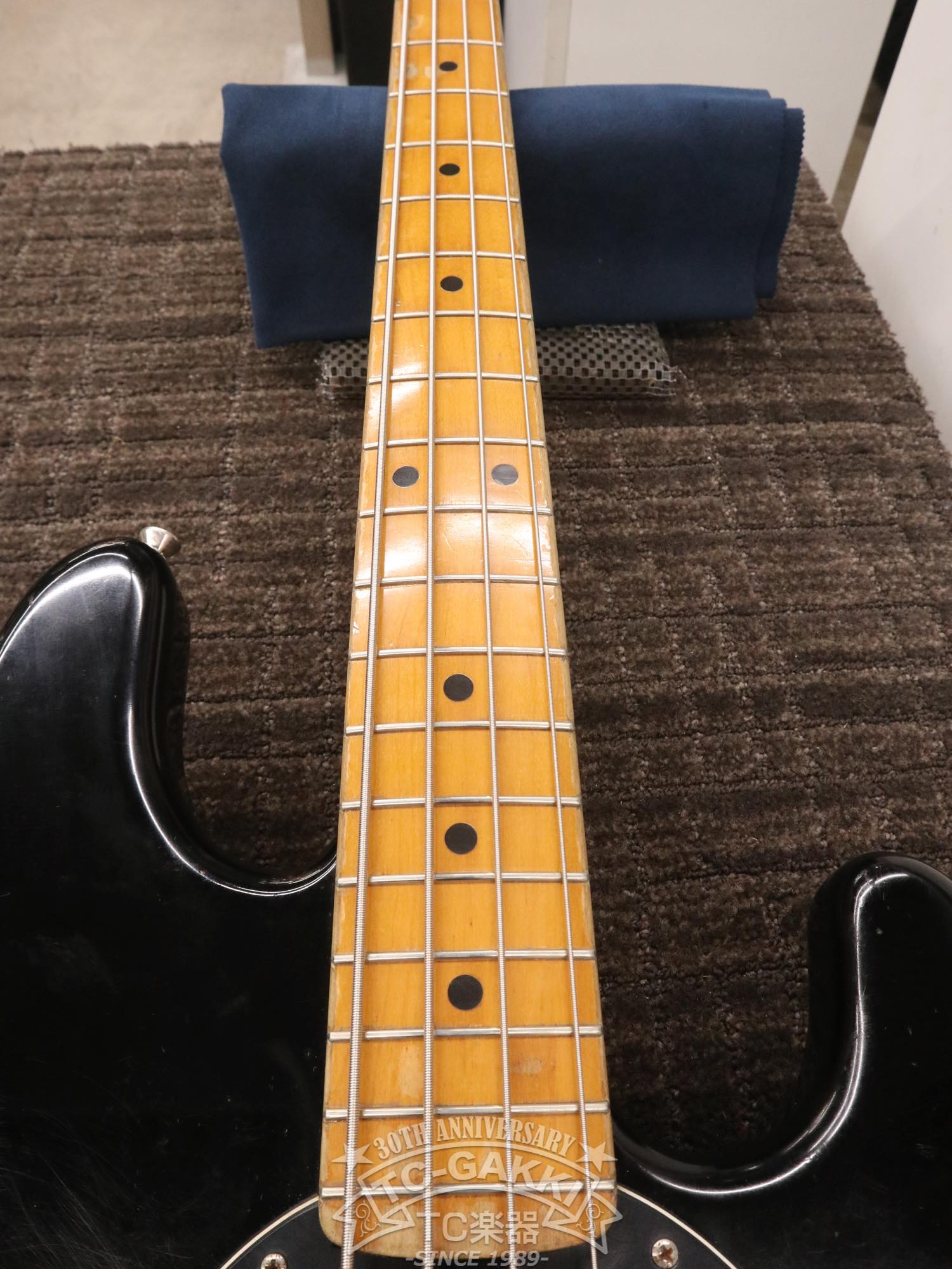 1981 StingRay - TC楽器 - TCGAKKI