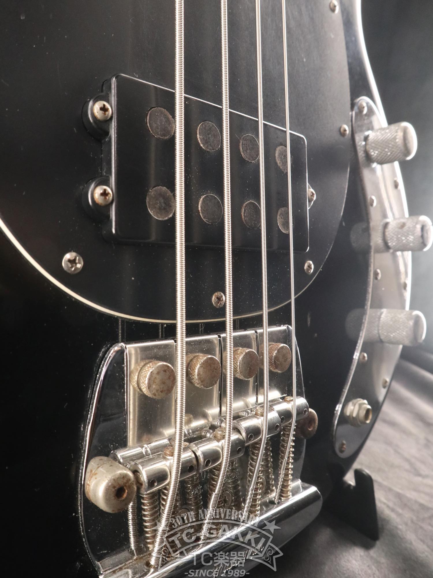 1981 StingRay - TC楽器 - TCGAKKI