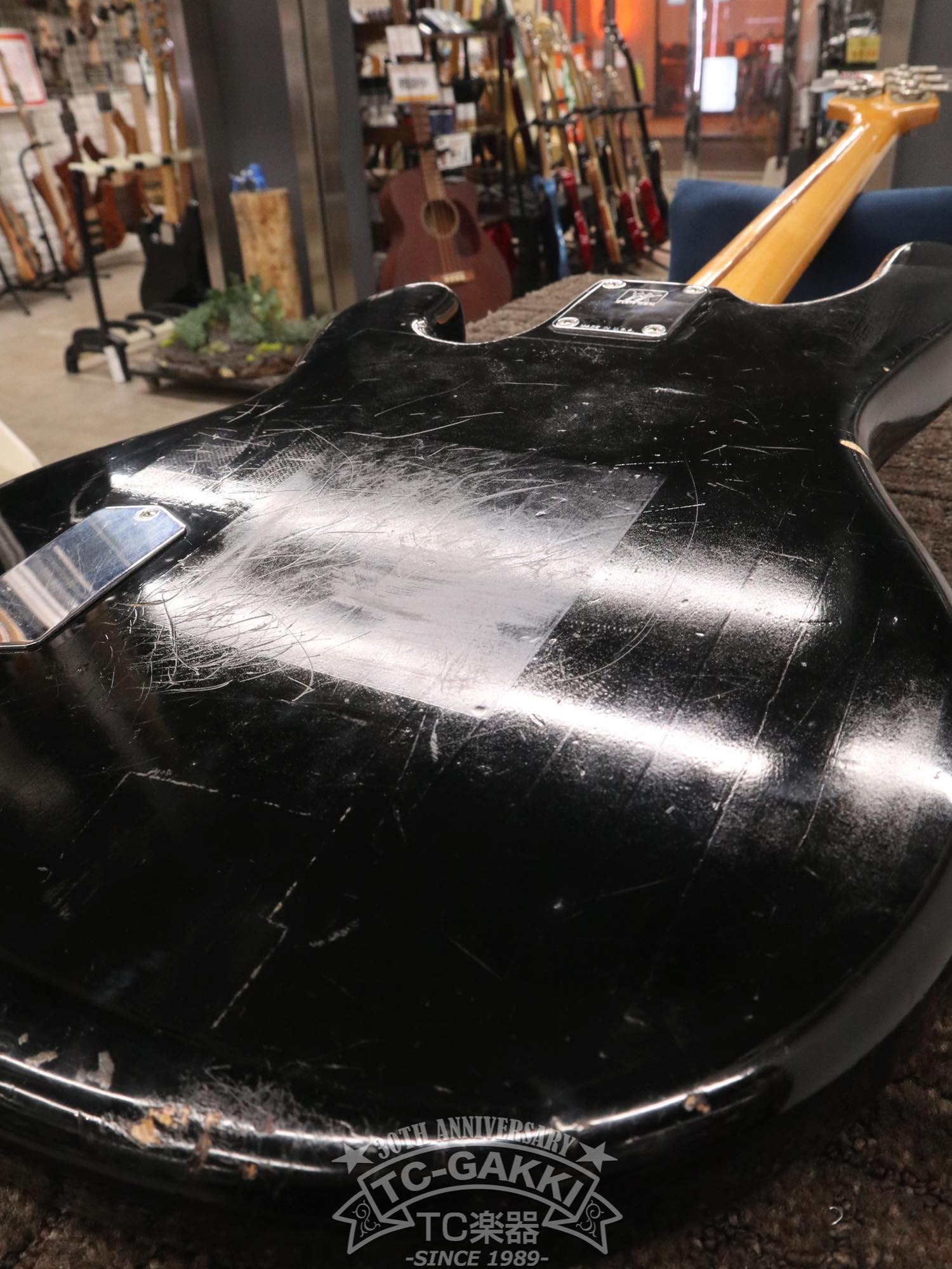 1981 StingRay - TC楽器 - TCGAKKI