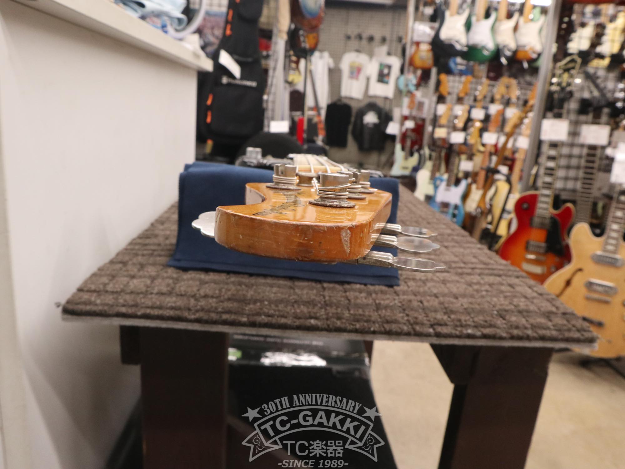 1981 StingRay - TC楽器 - TCGAKKI