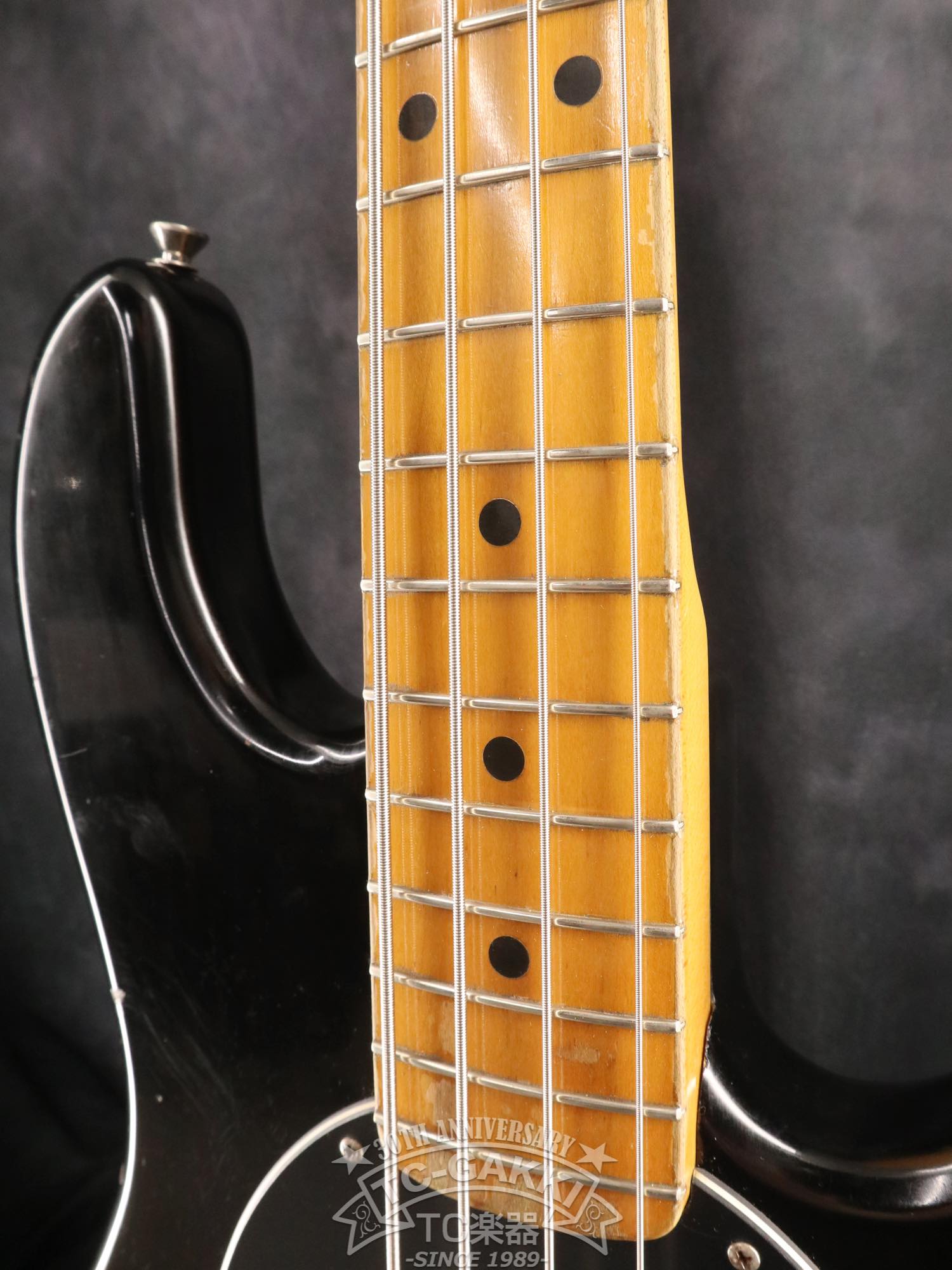 1981 StingRay - TC楽器 - TCGAKKI