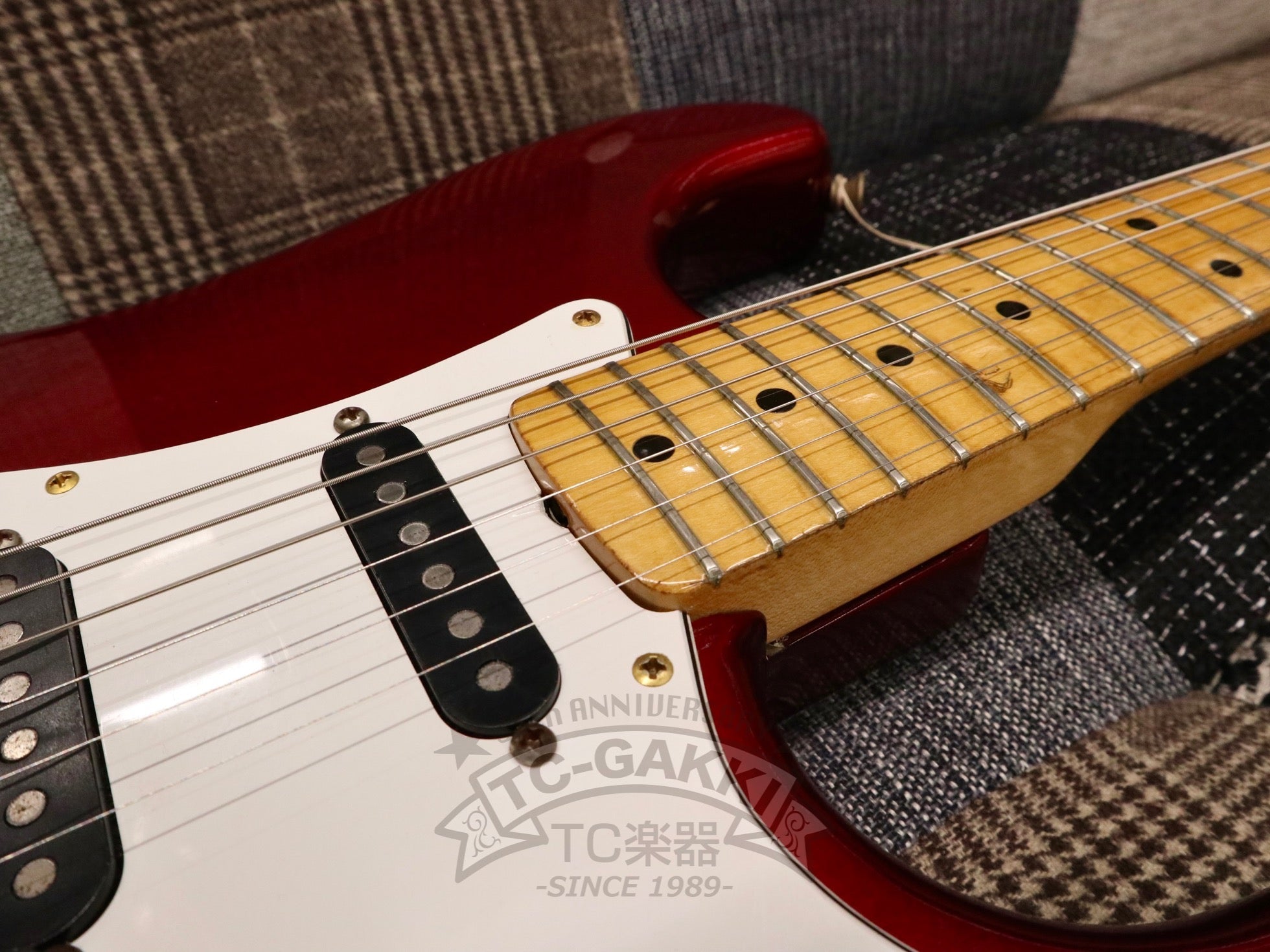 1981 THE STRAT - TC楽器 - TCGAKKI