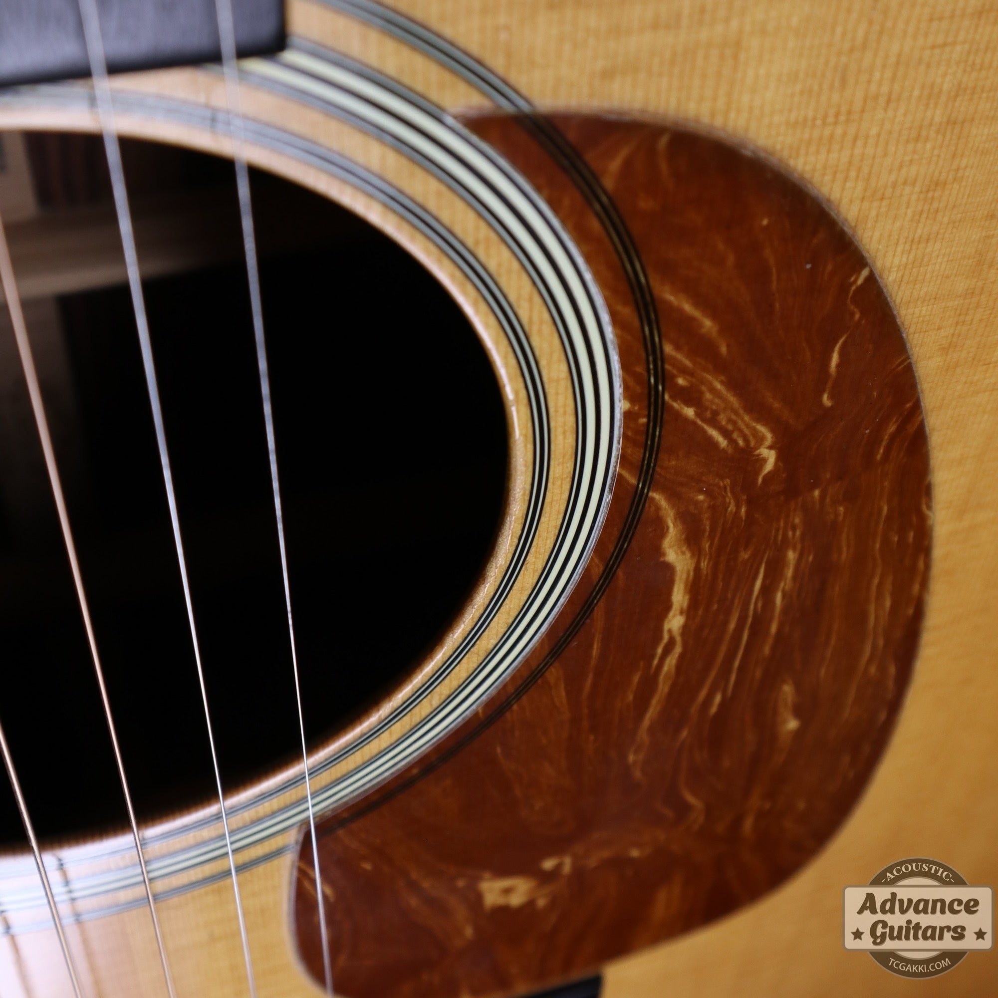 1982年製 HD - 28 Custom Pre War Reissue - TC楽器 - TCGAKKI