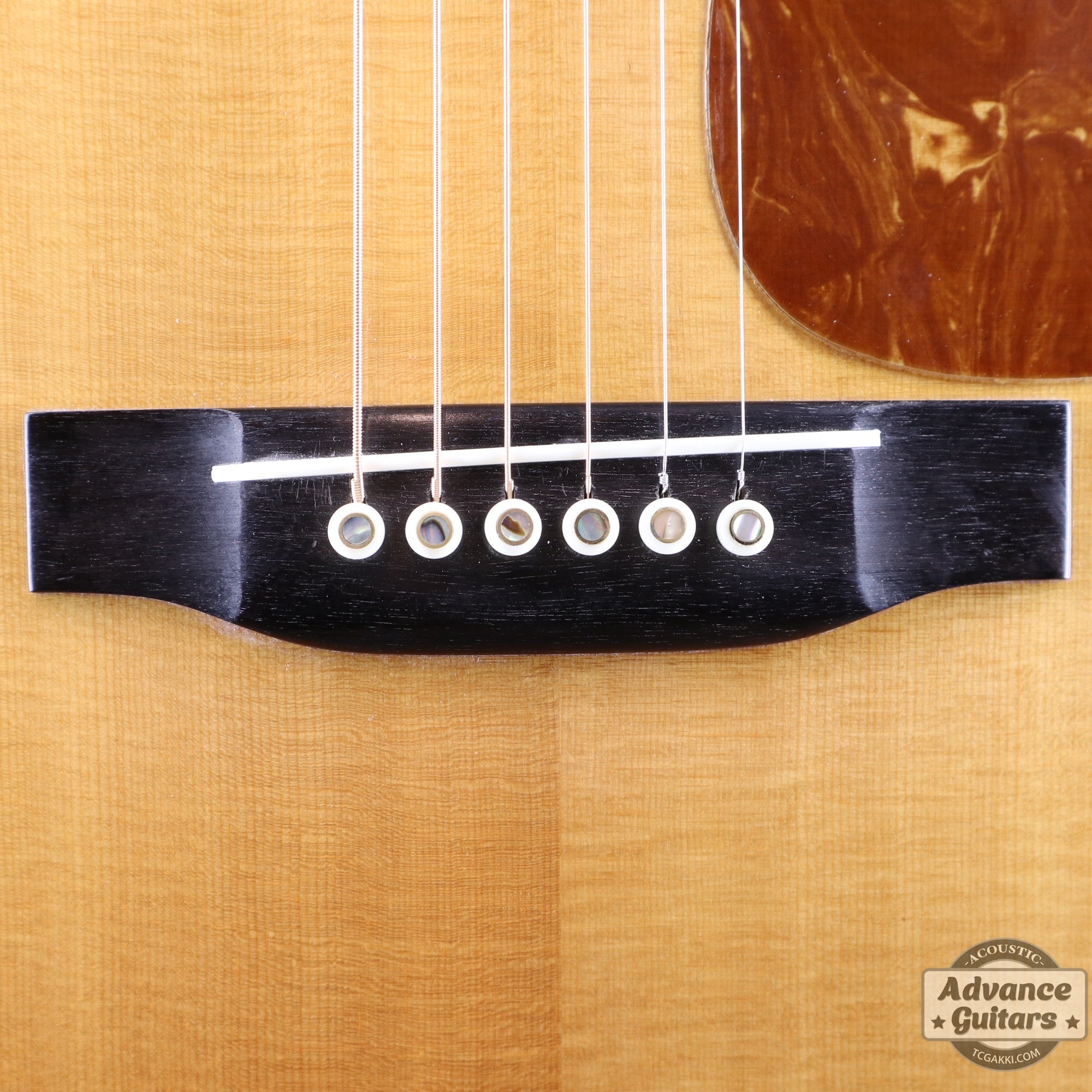 1982年製 HD - 28 Custom Pre War Reissue - TC楽器 - TCGAKKI