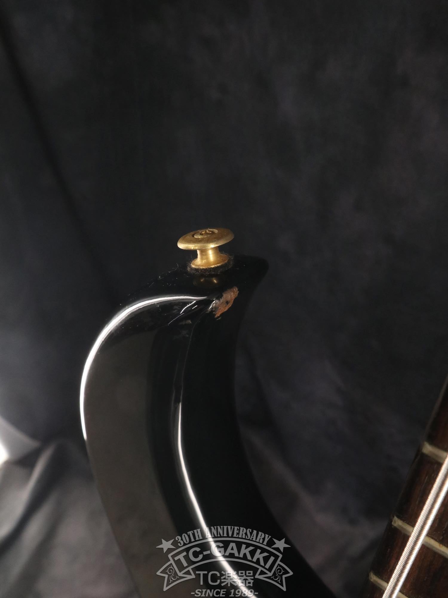 1982 SB - Black'n'Gold II - TC楽器 - TCGAKKI