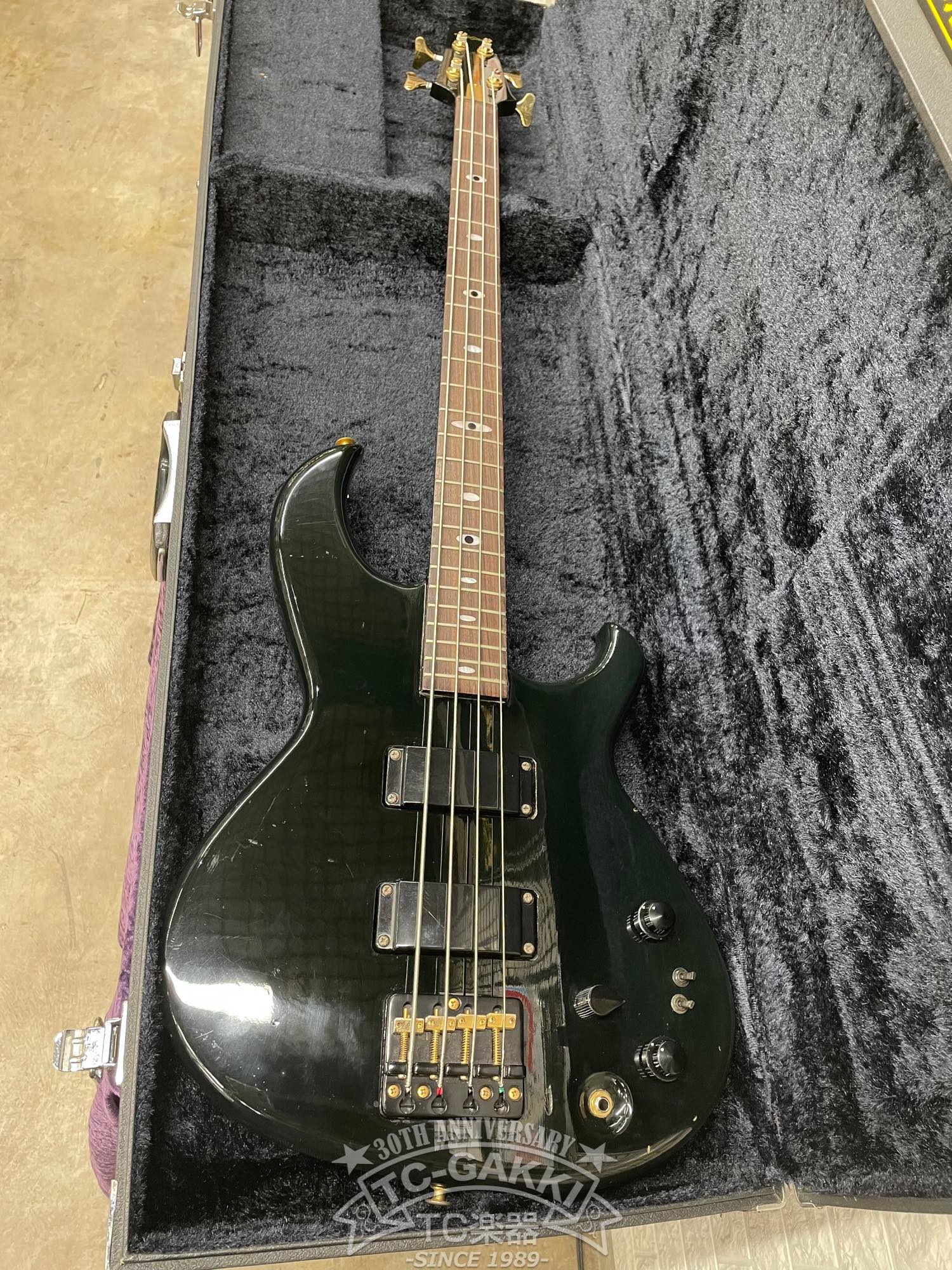 1982 SB - Black'n'Gold II - TC楽器 - TCGAKKI