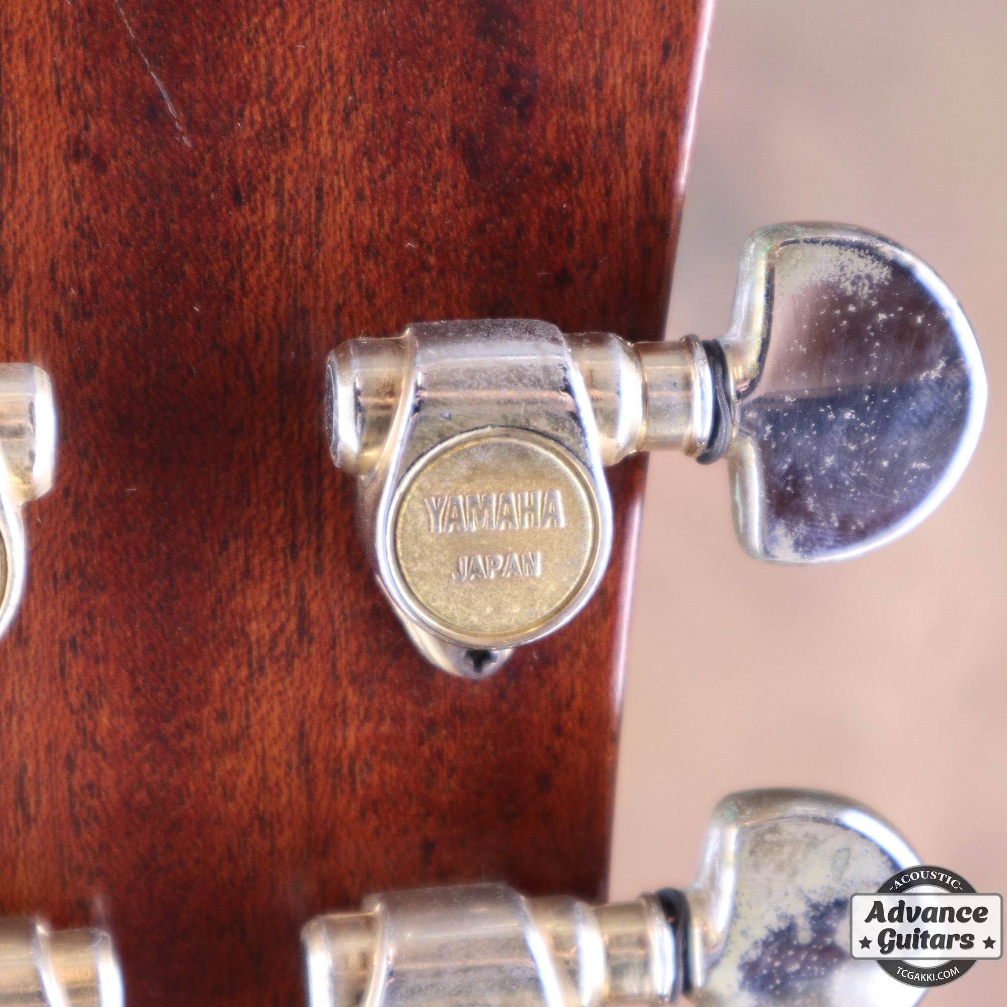 1983年製 LA - 57 Custom - TC楽器 - TCGAKKI