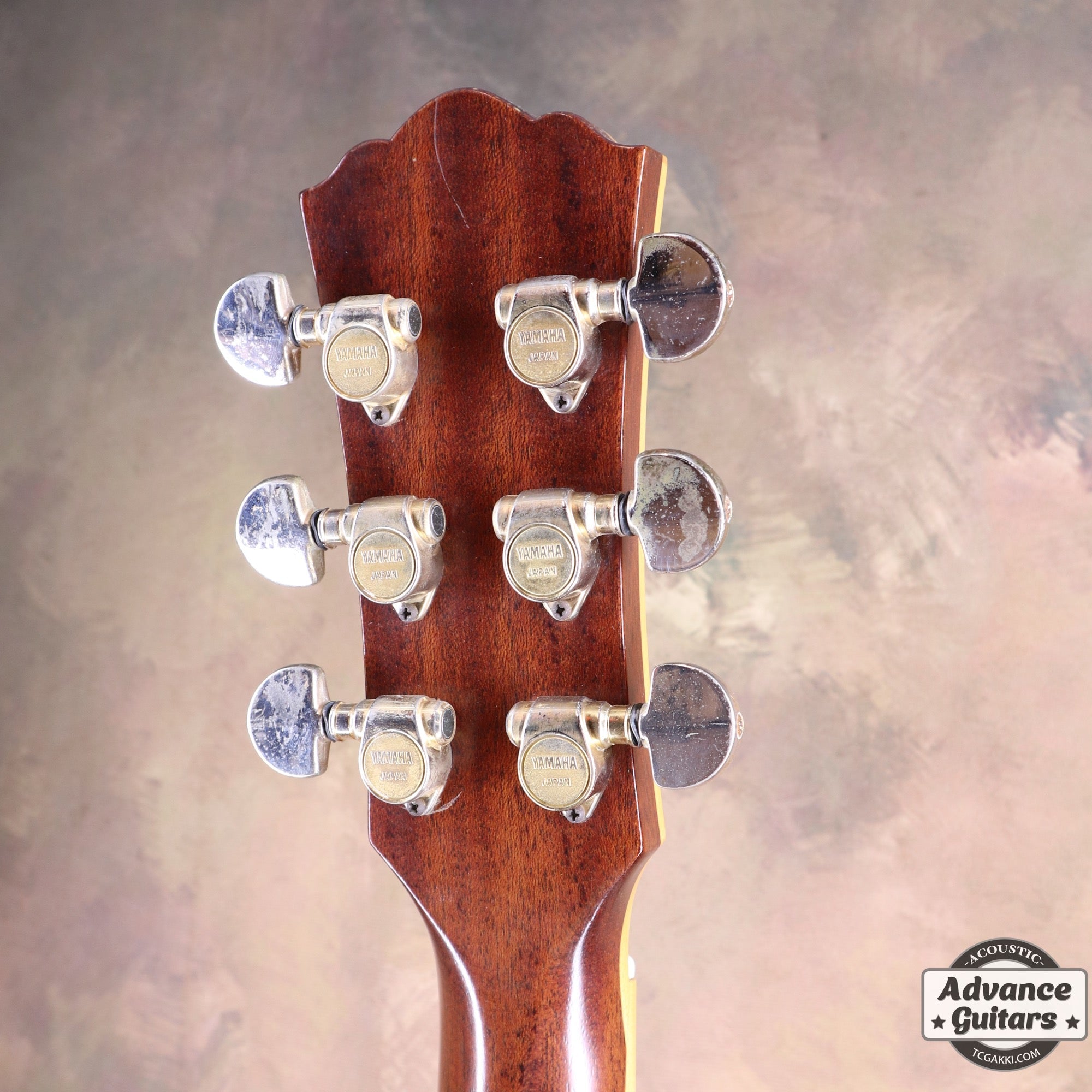 1983年製 LA - 57 Custom - TC楽器 - TCGAKKI