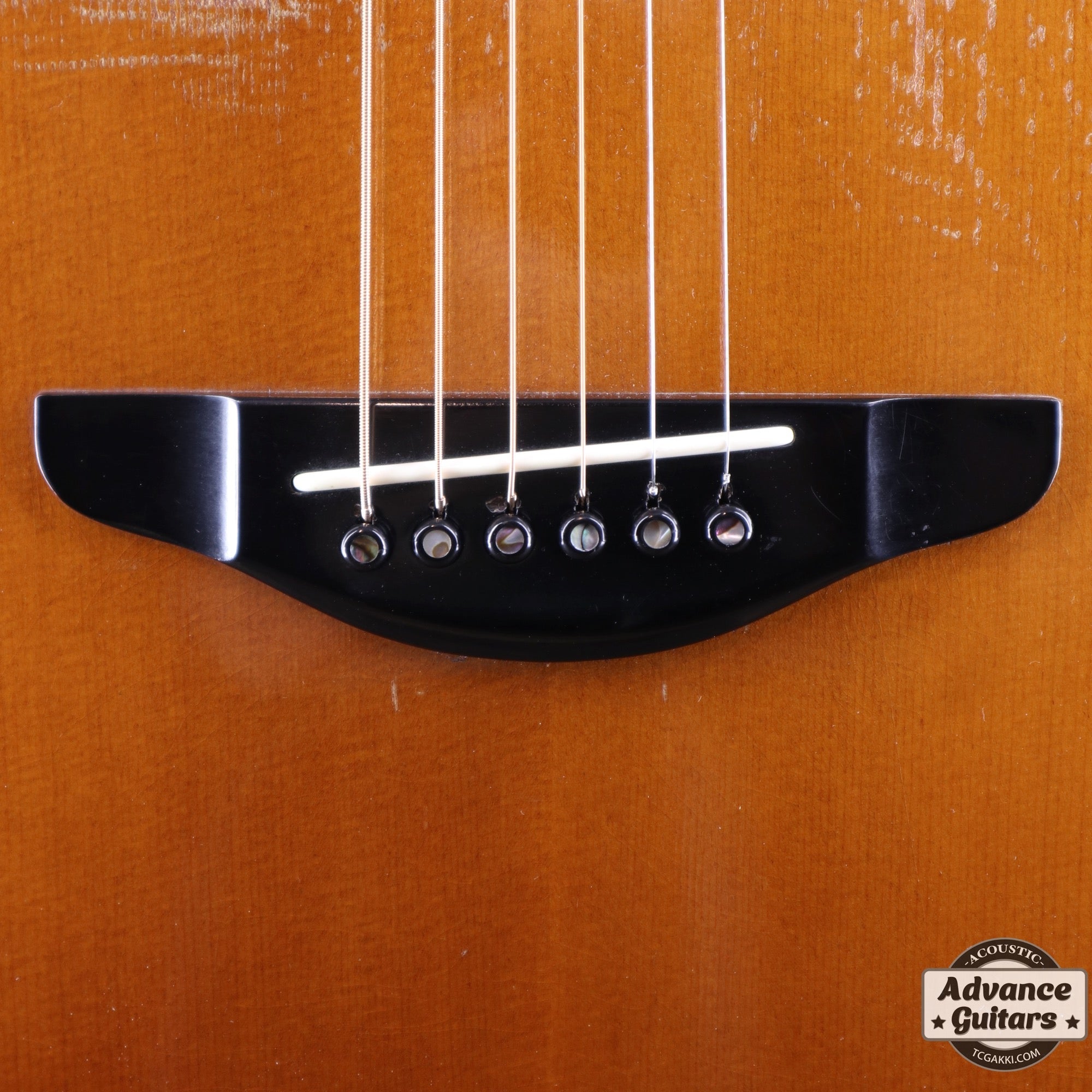 1983年製 LA - 57 Custom - TC楽器 - TCGAKKI