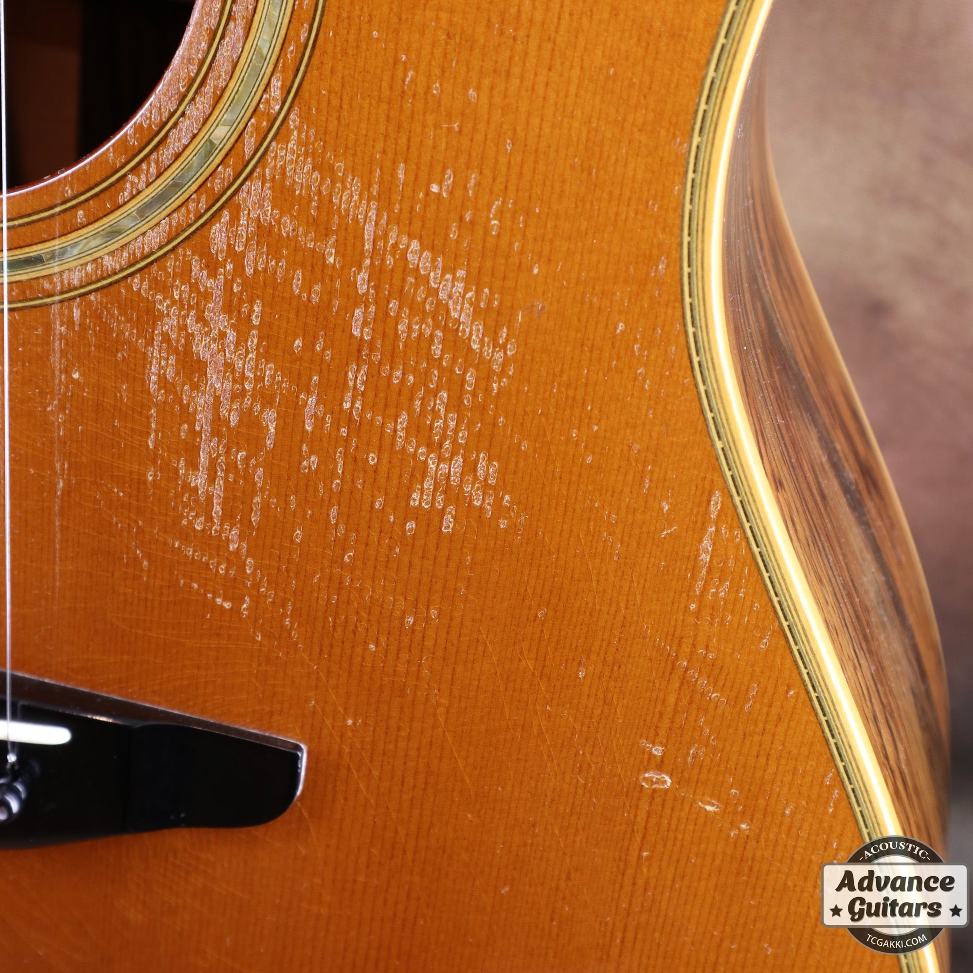 1983年製 LA - 57 Custom - TC楽器 - TCGAKKI