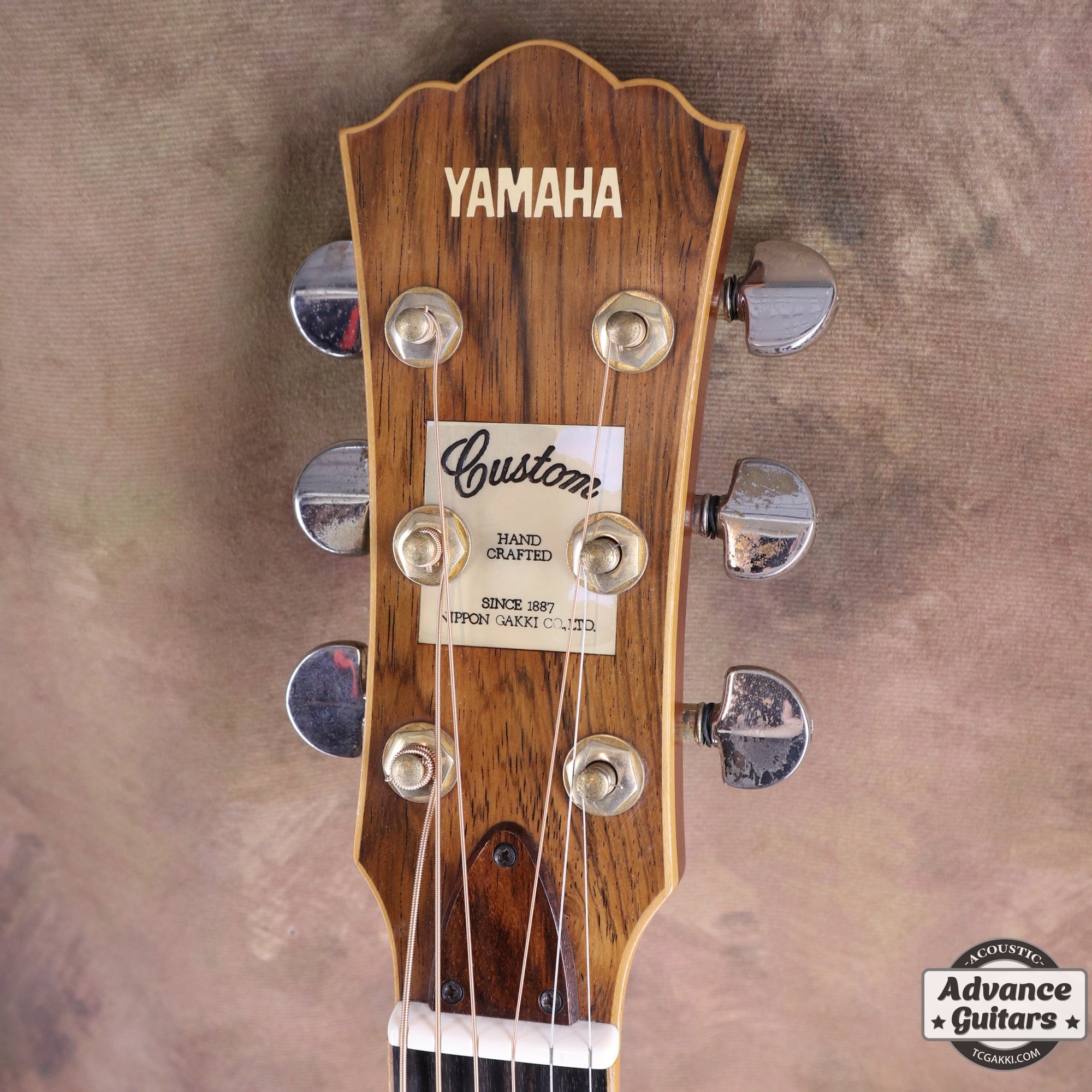 1983年製 LA - 57 Custom - TC楽器 - TCGAKKI