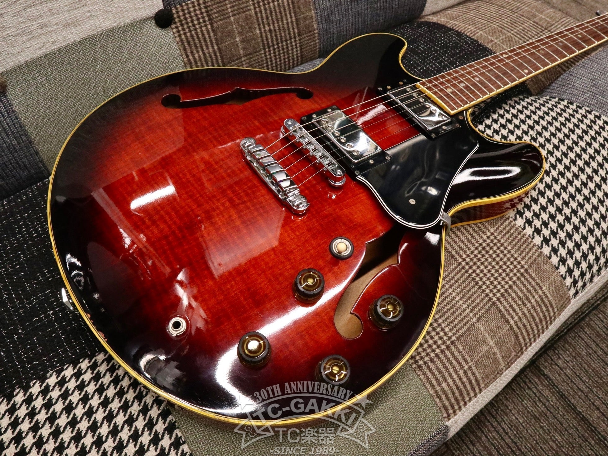 1983 LR10 Lee Ritenour Model - TC楽器 - TCGAKKI