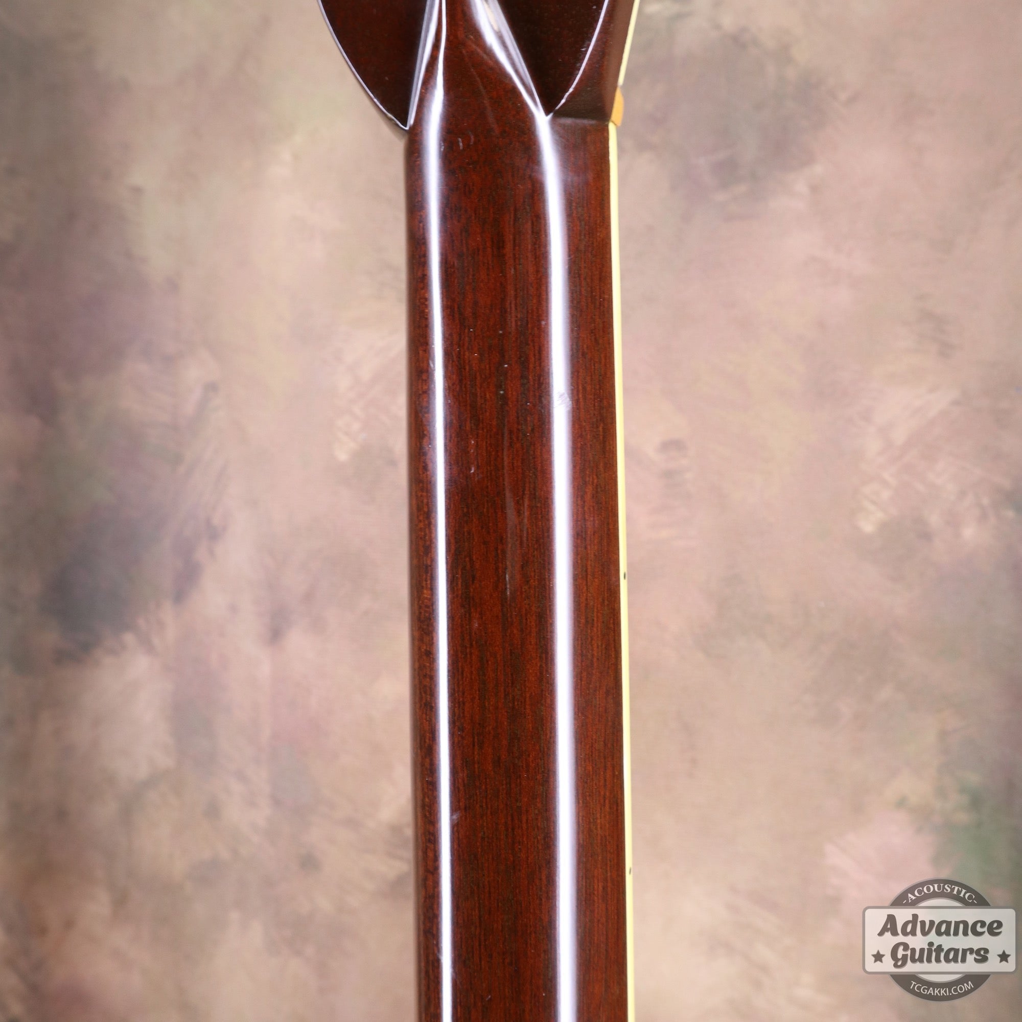 1984年製 D - 45 Tree of Life - TC楽器 - TCGAKKI