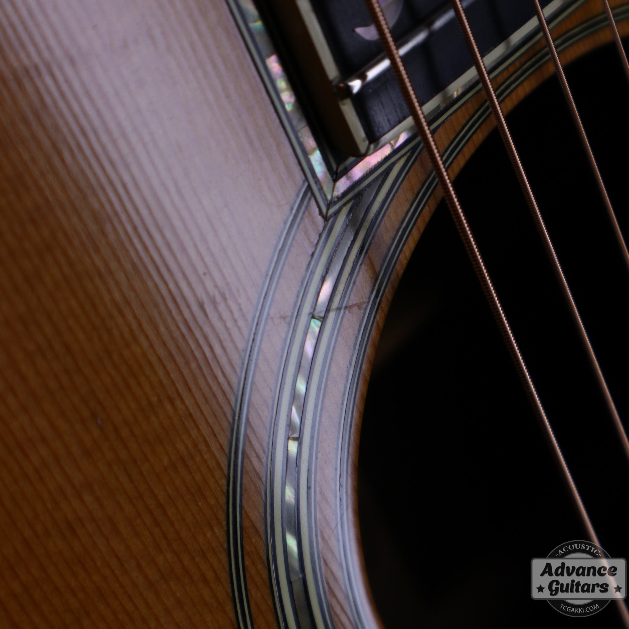 1984年製 D - 45 Tree of Life - TC楽器 - TCGAKKI