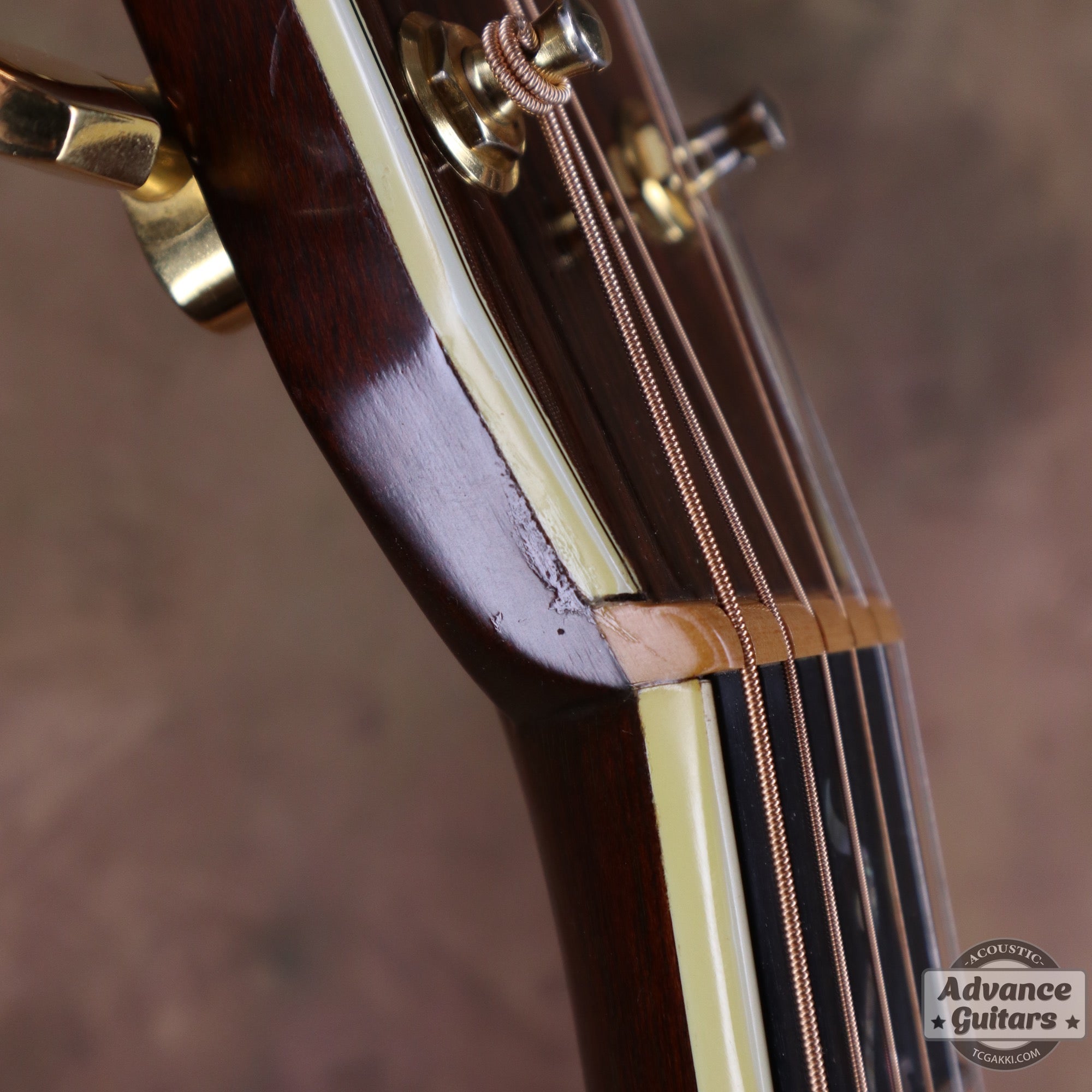 1984年製 D - 45 Tree of Life - TC楽器 - TCGAKKI