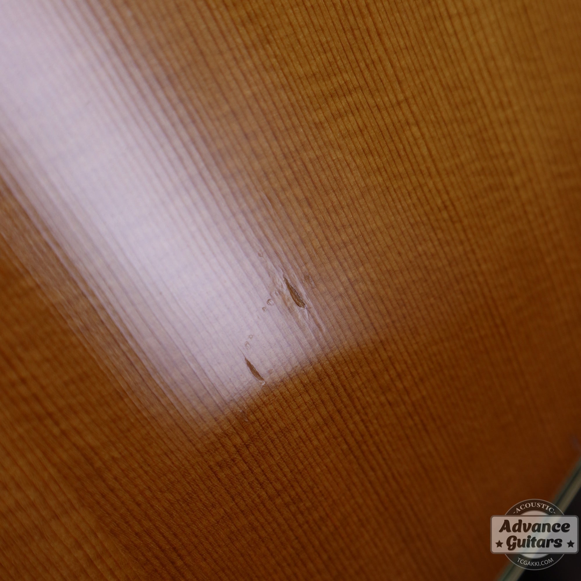 1984年製 D - 45 Tree of Life - TC楽器 - TCGAKKI