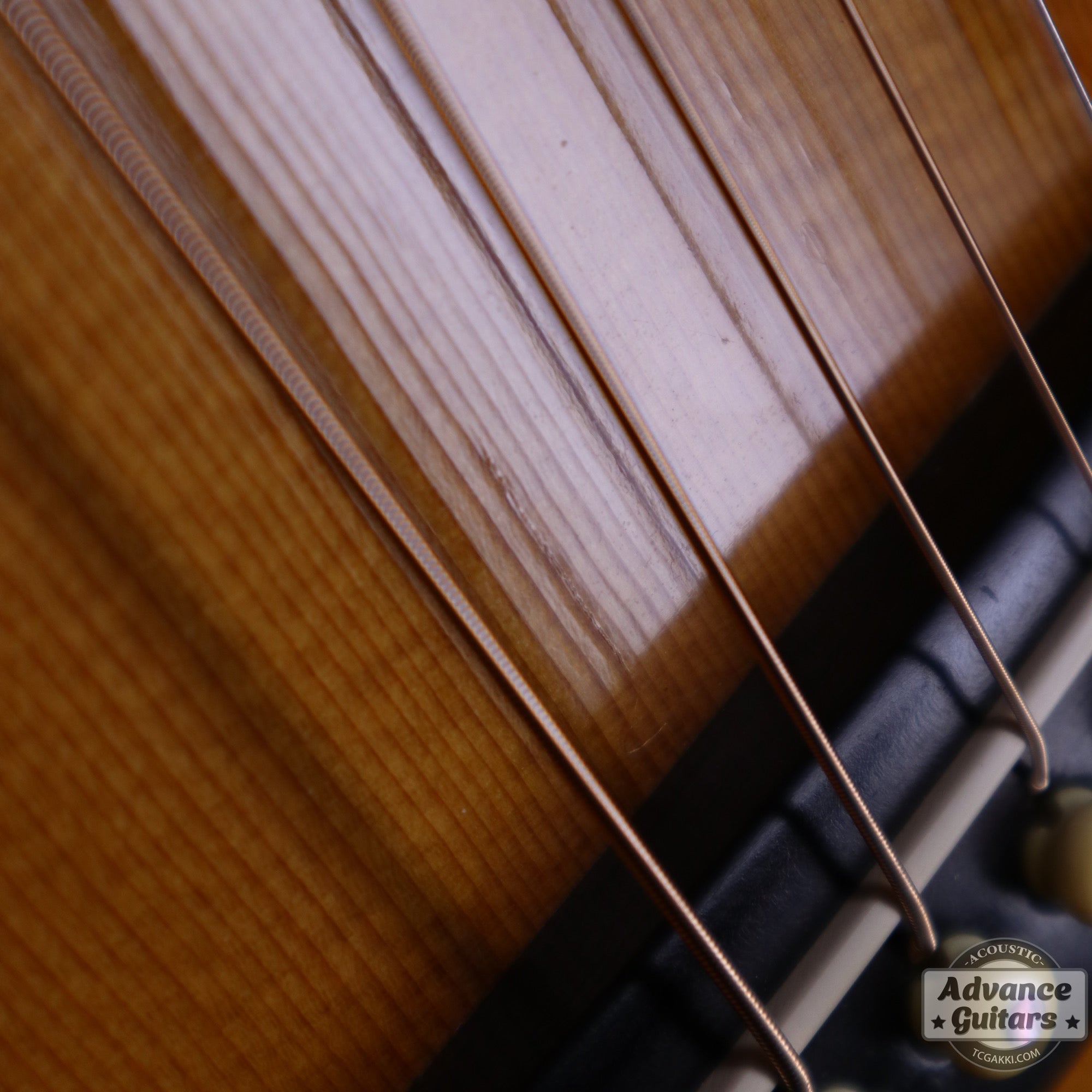 1984年製 D - 45 Tree of Life - TC楽器 - TCGAKKI