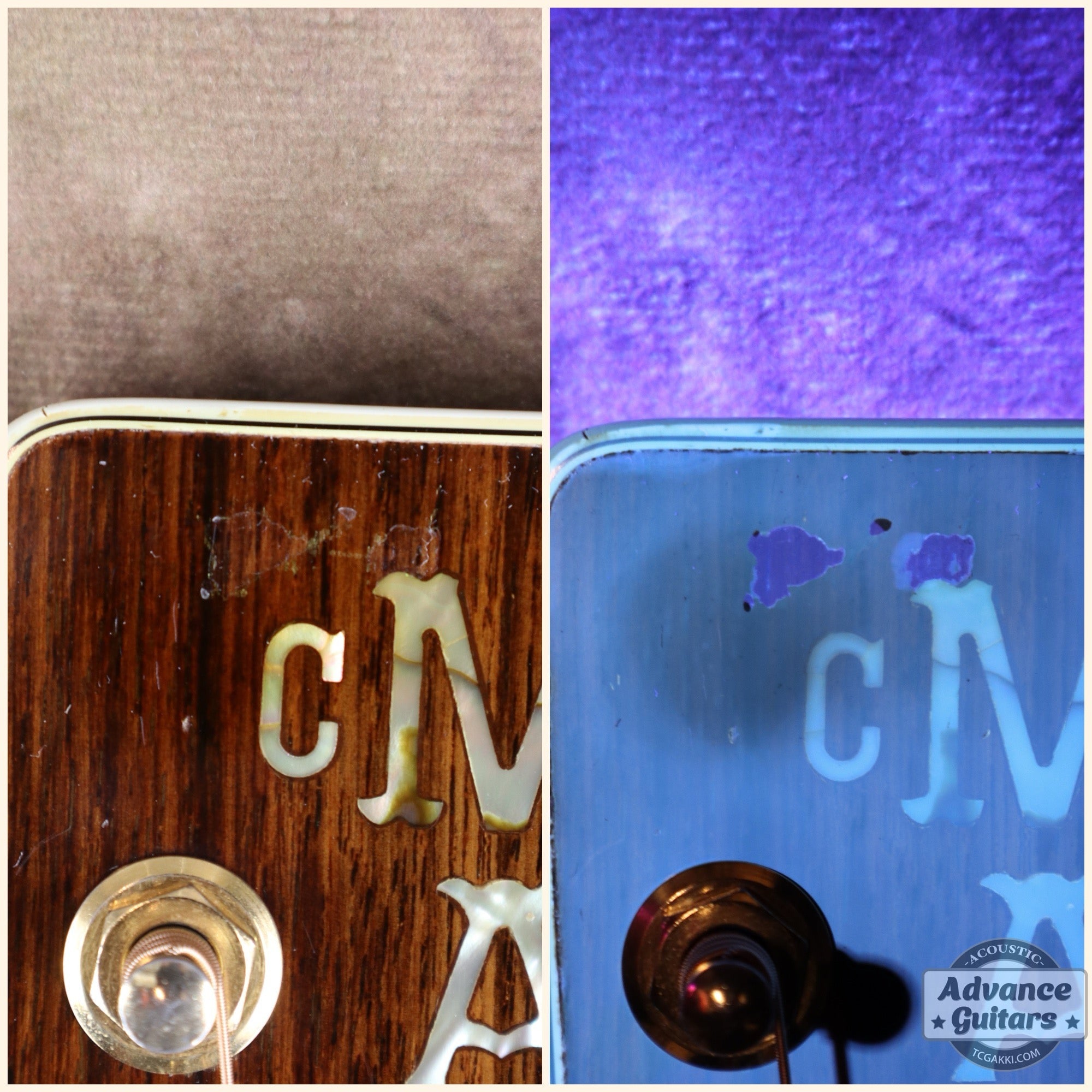 1984年製 D - 45 Tree of Life - TC楽器 - TCGAKKI