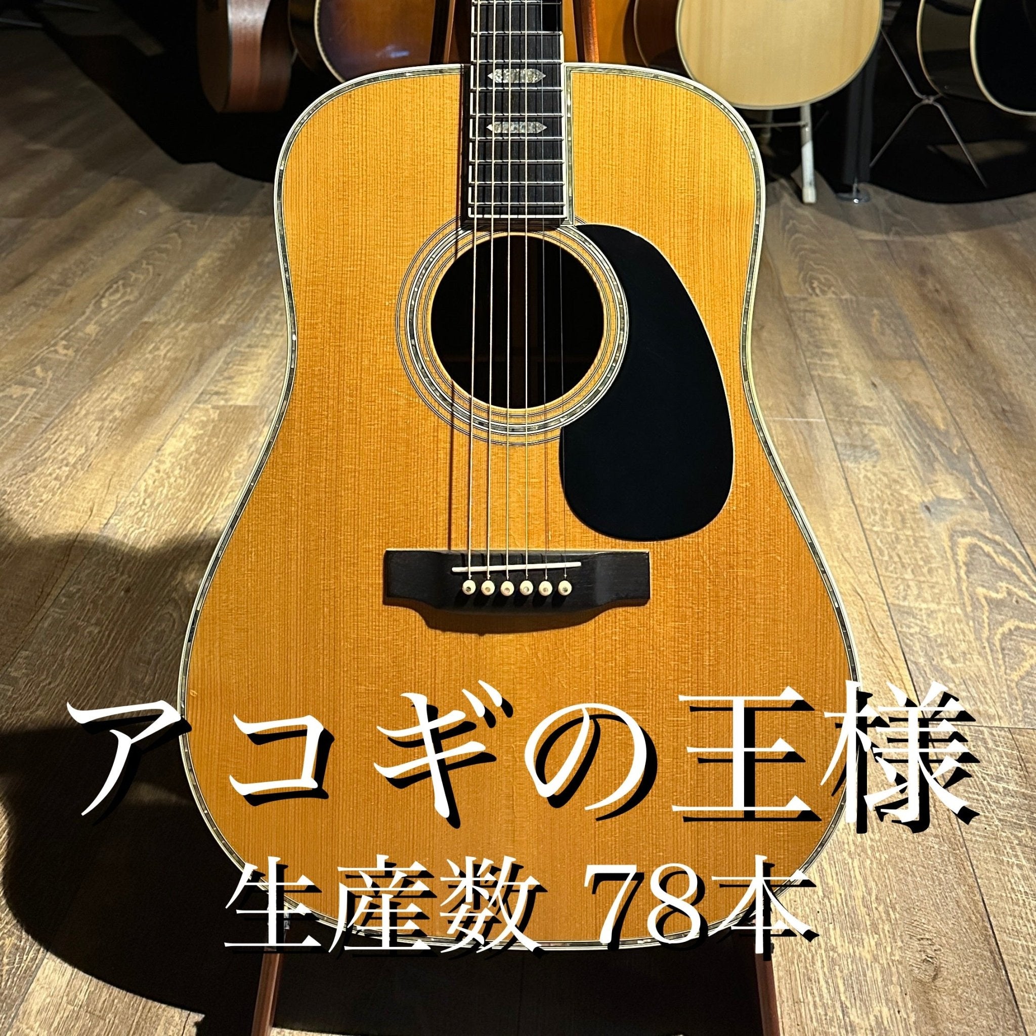 1985年製 D - 45 - TC楽器 - TCGAKKI