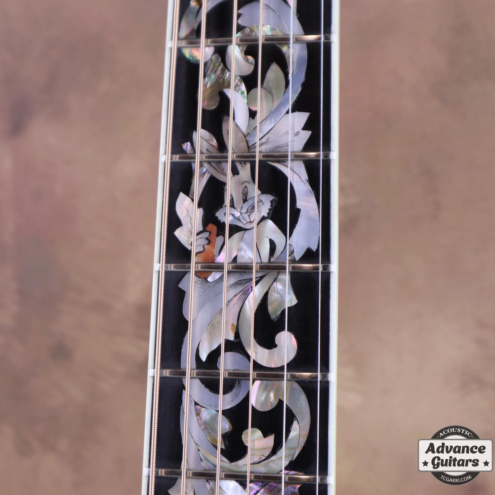 Guitarra [DVD](中古品) 1988年製 Custom Superlative WB guitar by Scott Baxendale（Played