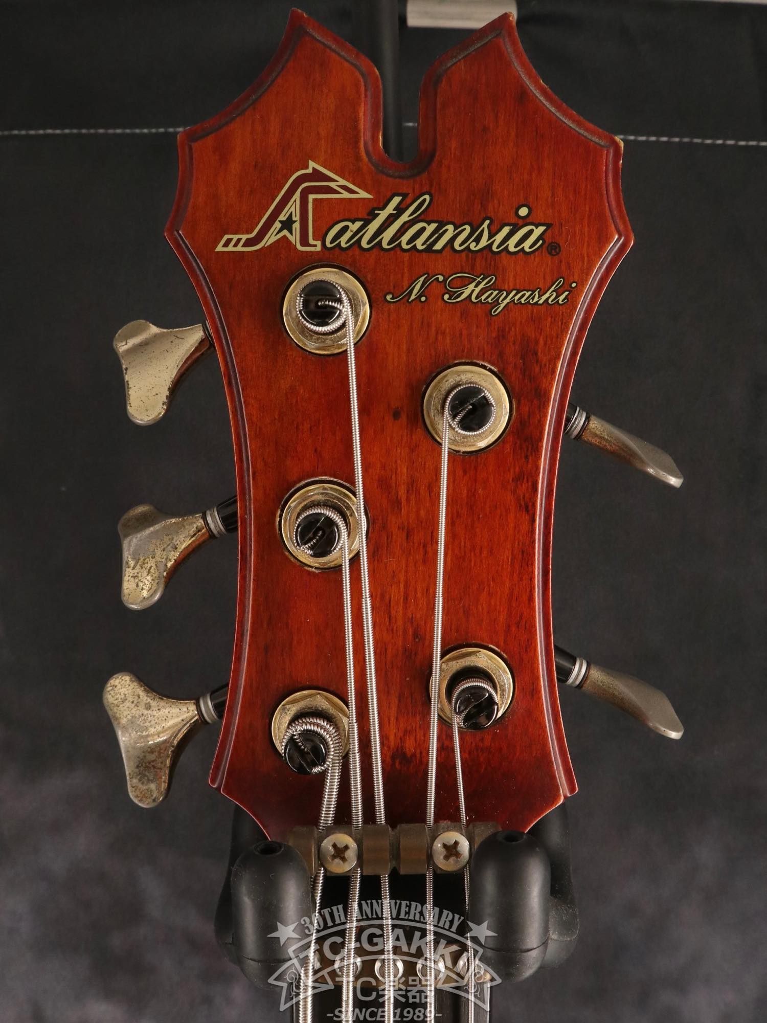 1989 Victoria 5st - TC楽器 - TCGAKKI