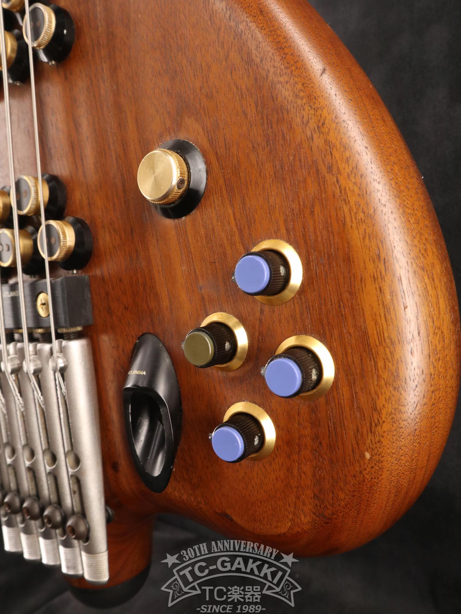 1989 Victoria 5st - TC楽器 - TCGAKKI