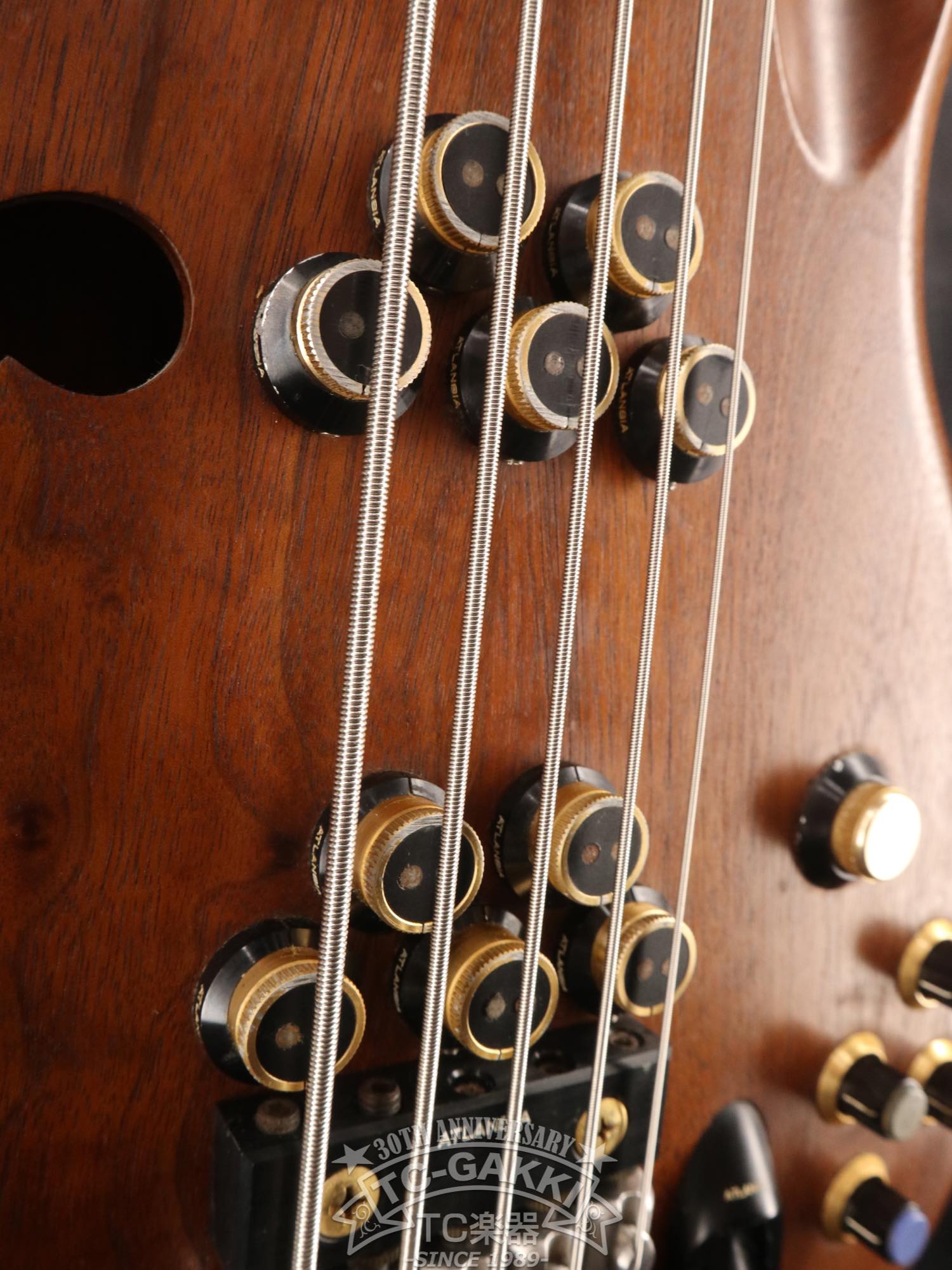 1989 Victoria 5st - TC楽器 - TCGAKKI