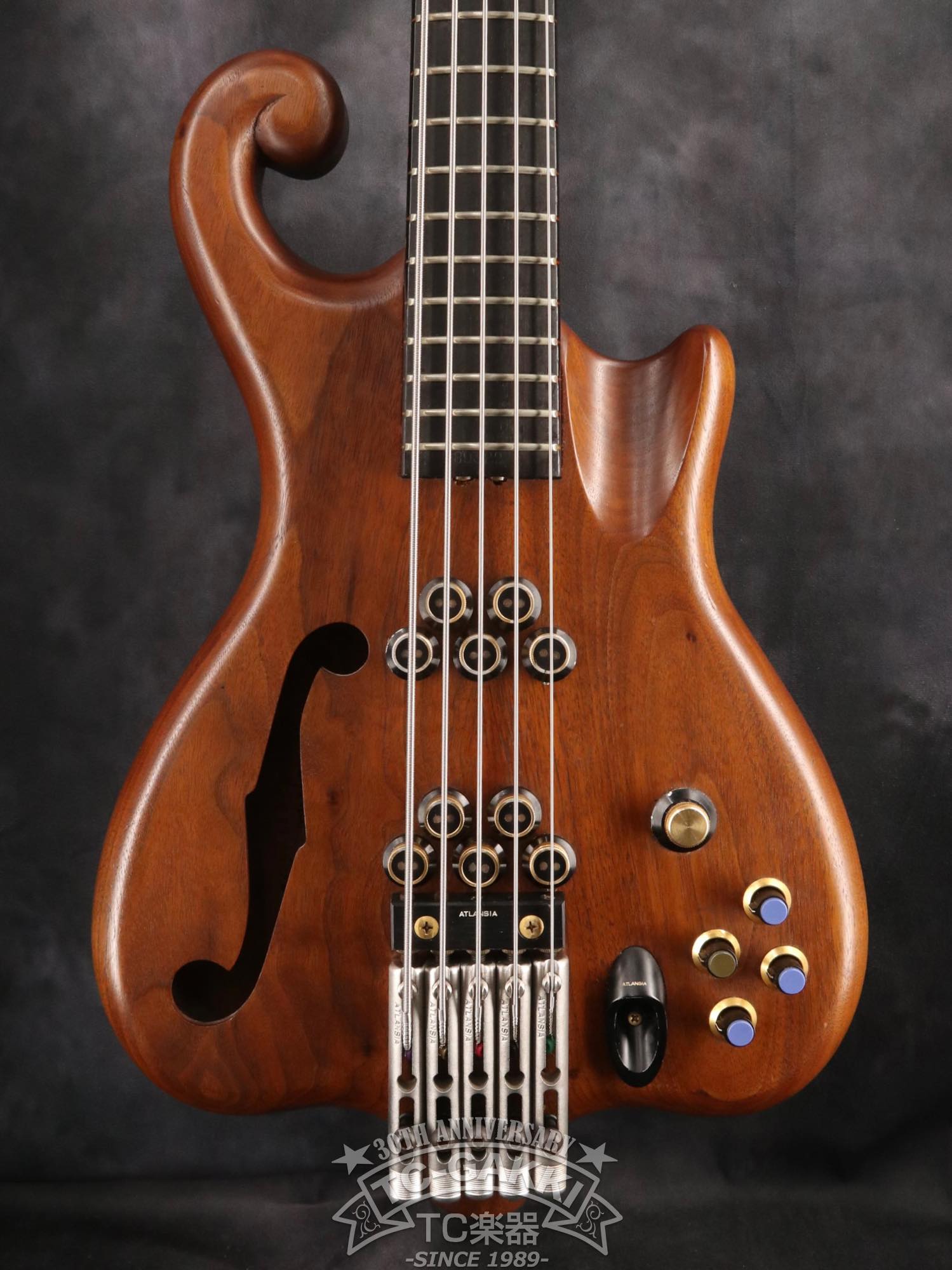 1989 Victoria 5st - TC楽器 - TCGAKKI